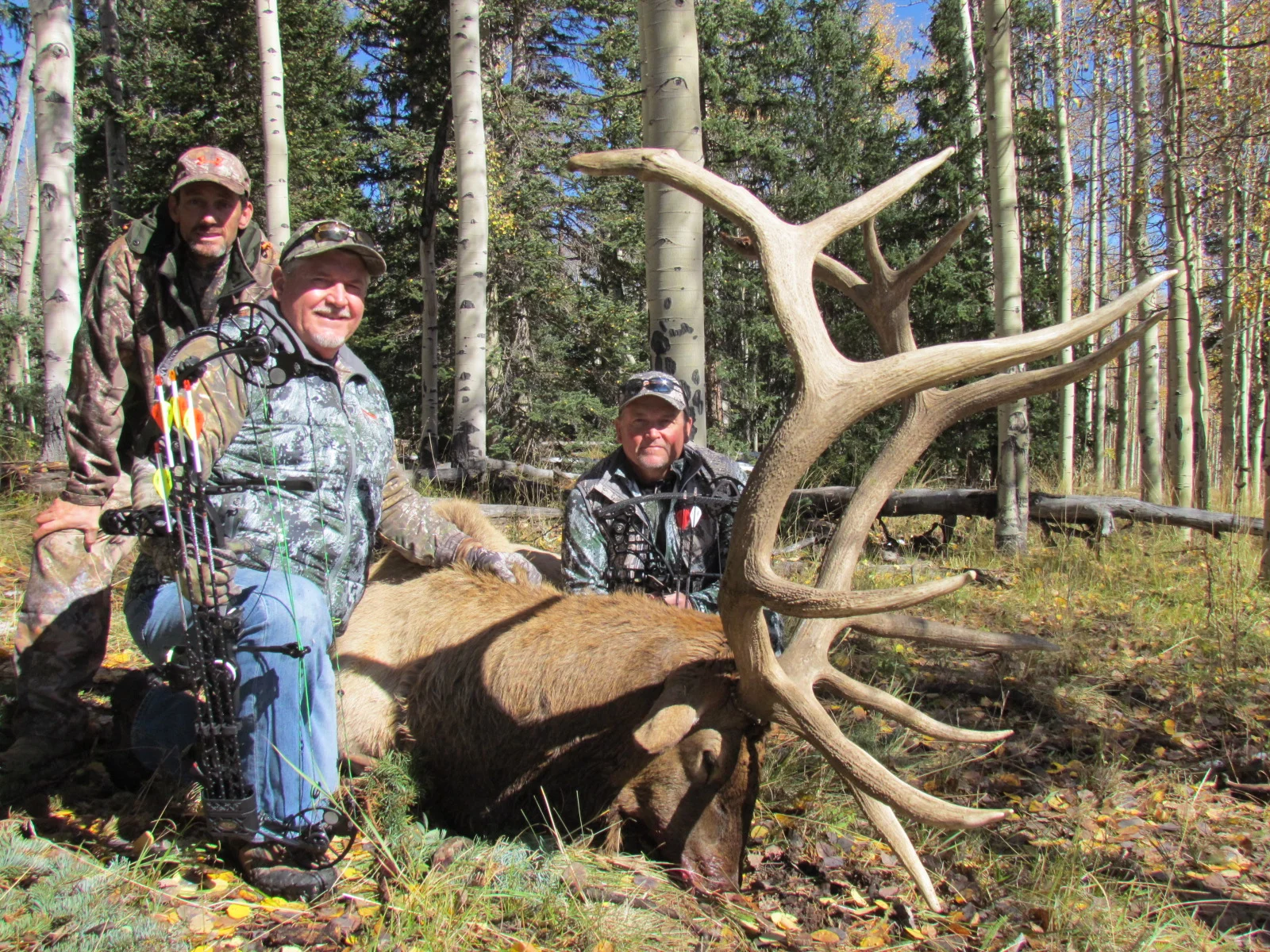 COLORADO TROPHY ELK HUNTS AT BULL BASIN RANCH COLORADO TROPHY BULL ELK