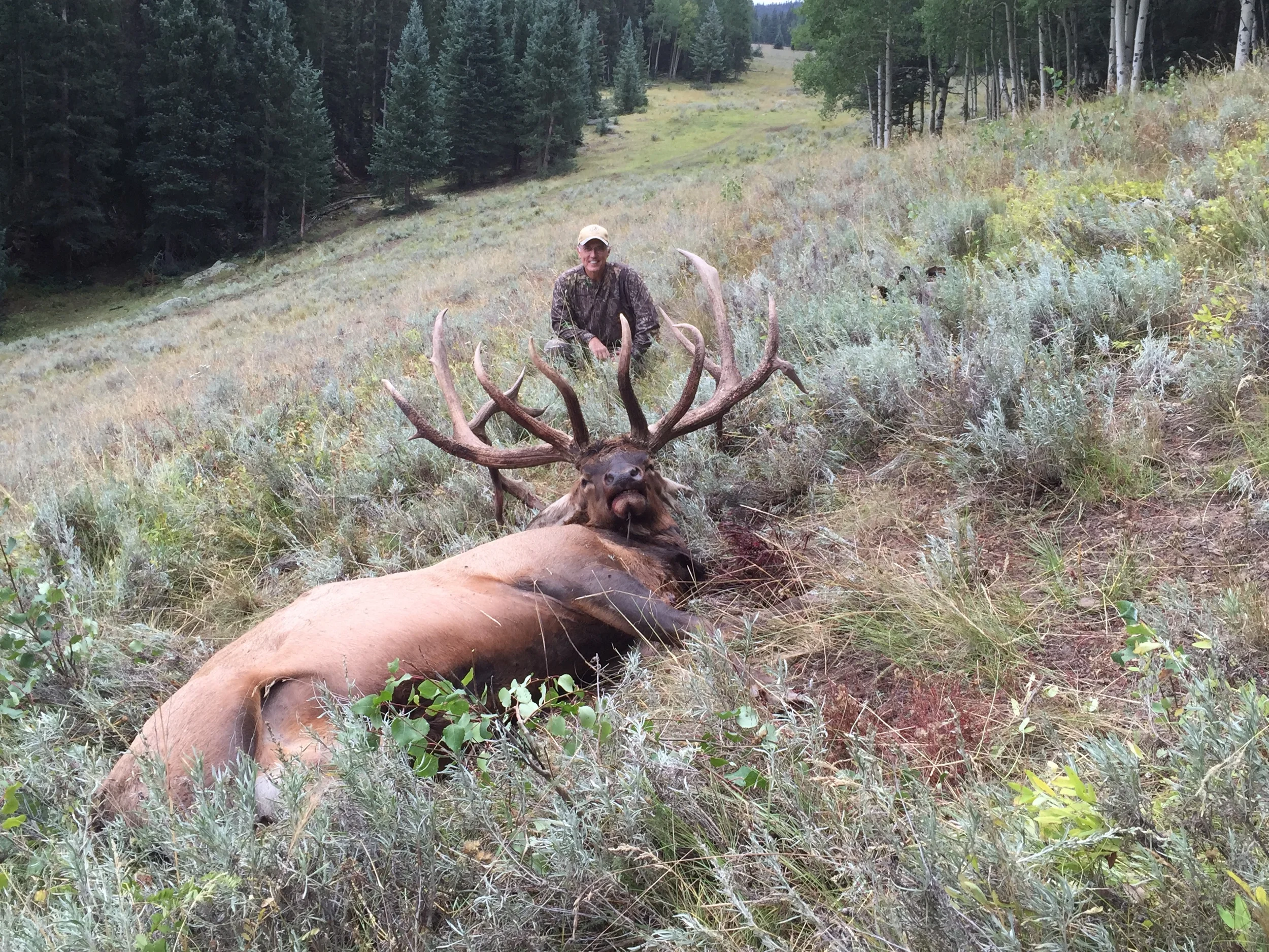 2015 elk hunts 517.JPG