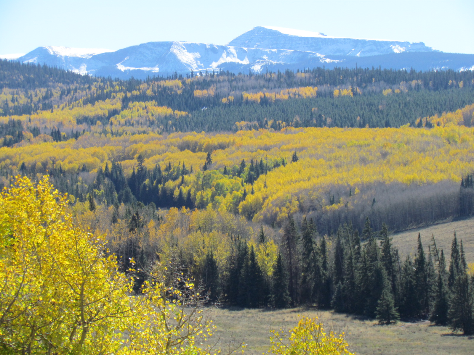 14 hunts scenery 345.JPG