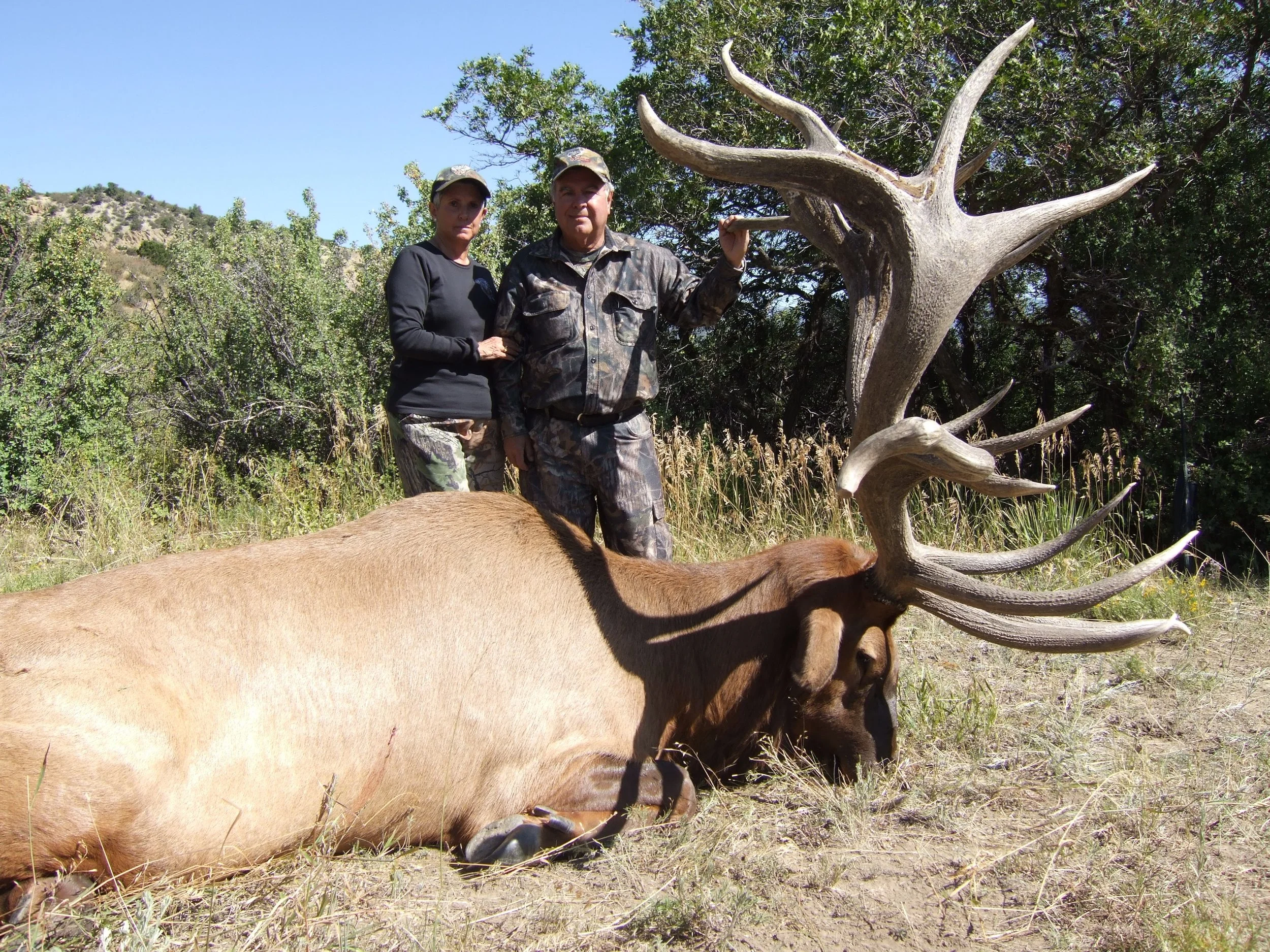 ARTHUR 2008 ELK 058.jpg