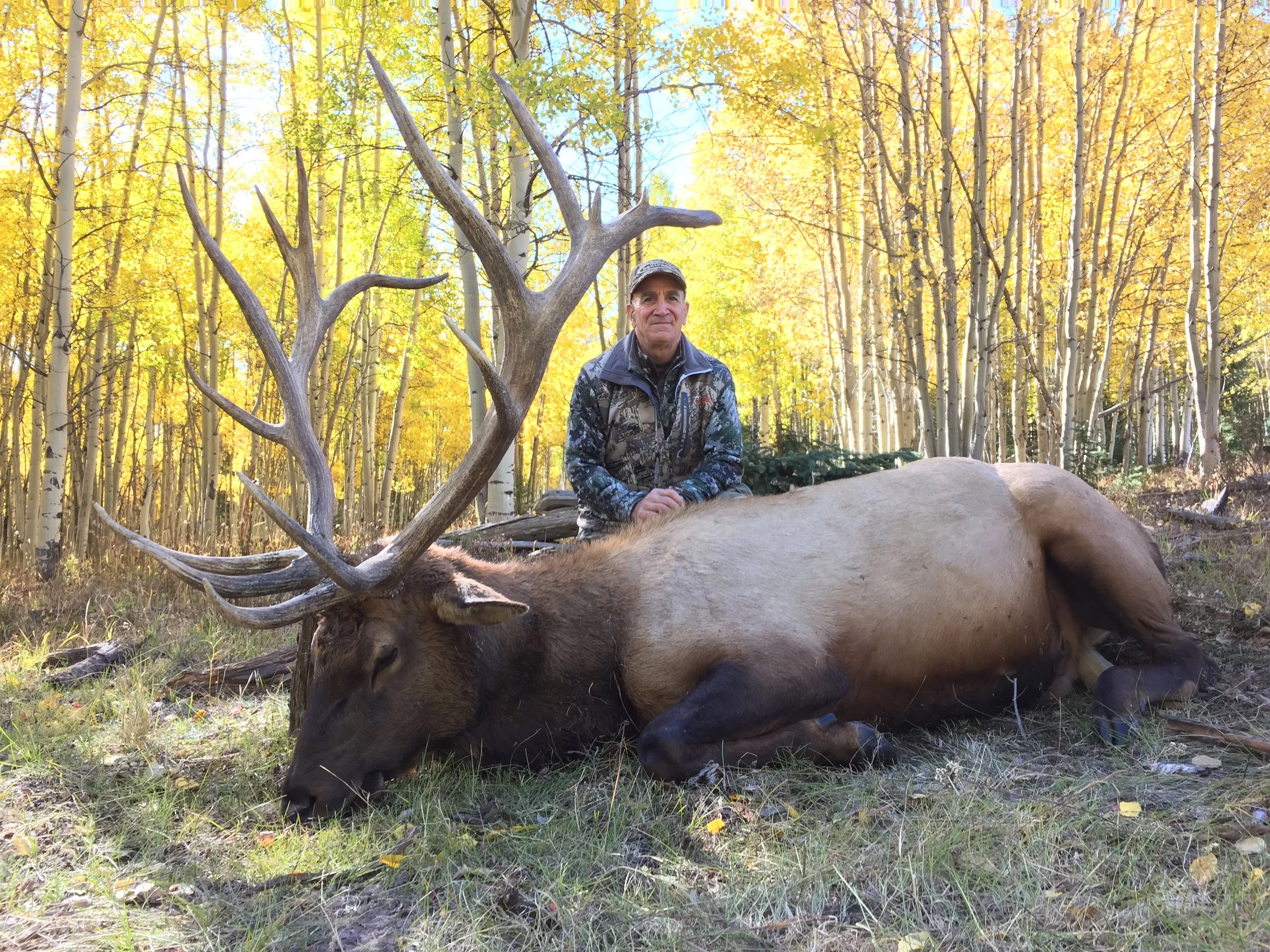 COLORADO TROPHY ELK HUNTS AT BULL BASIN RANCH COLORADO TROPHY BULL ELK