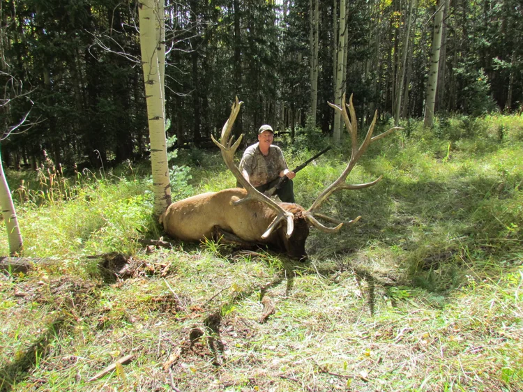 COLORADO TROPHY ELK HUNTS AT BULL BASIN RANCH COLORADO TROPHY BULL ELK ...