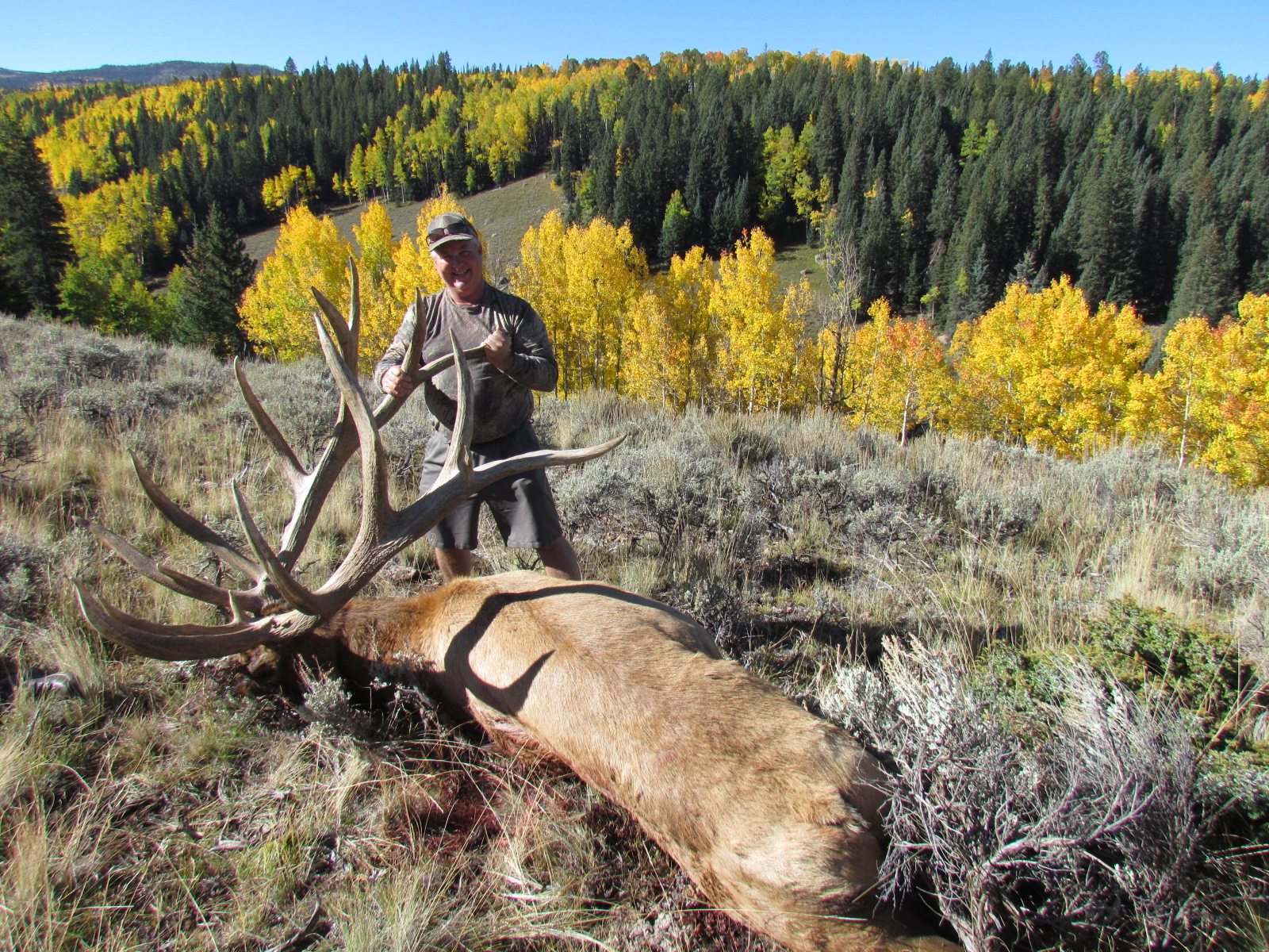COLORADO TROPHY ELK HUNTS AT BULL BASIN RANCH COLORADO TROPHY BULL ELK