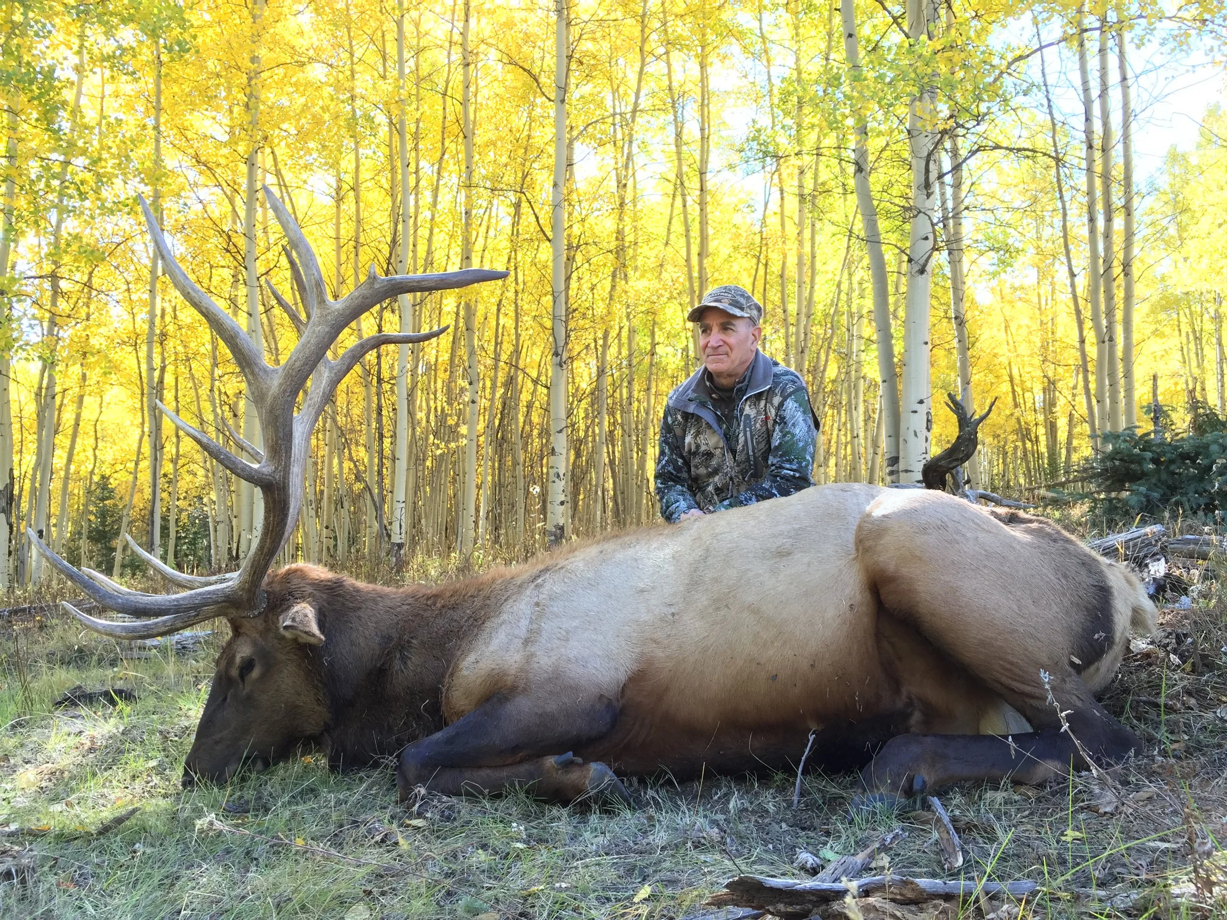 2015 elk hunts 1365.JPG