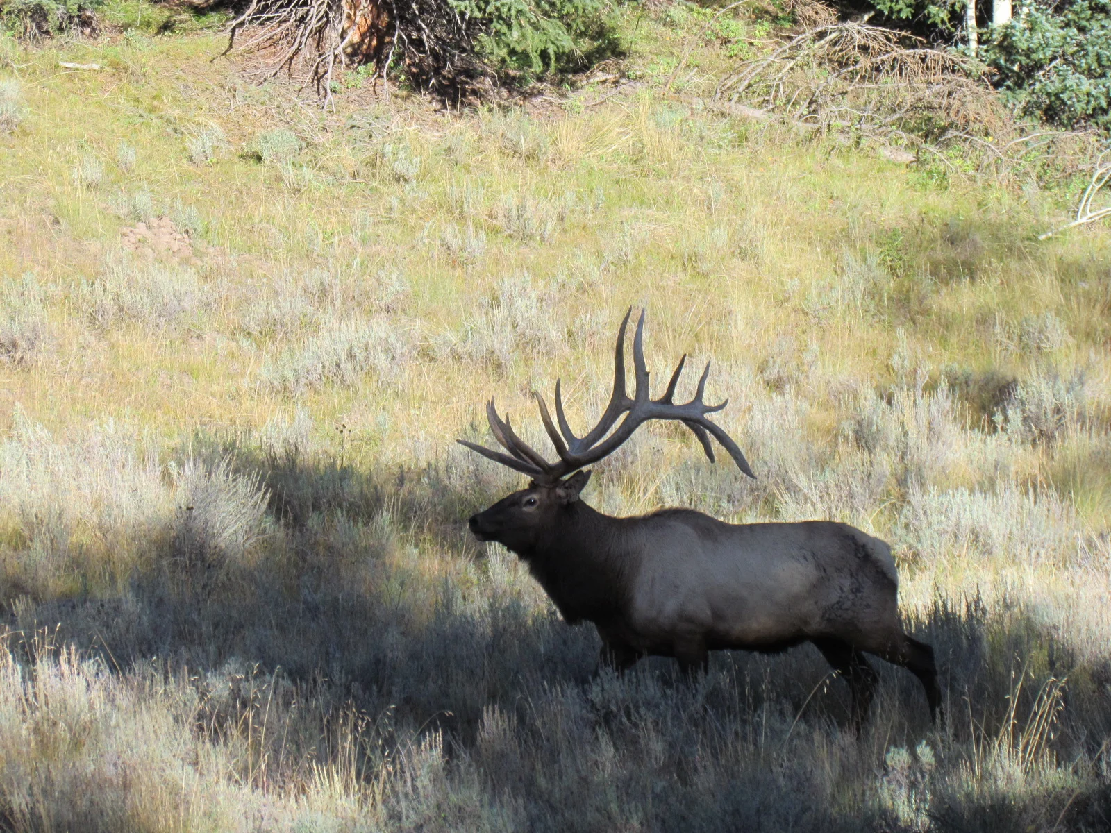 14 hunts scenery 237.JPG