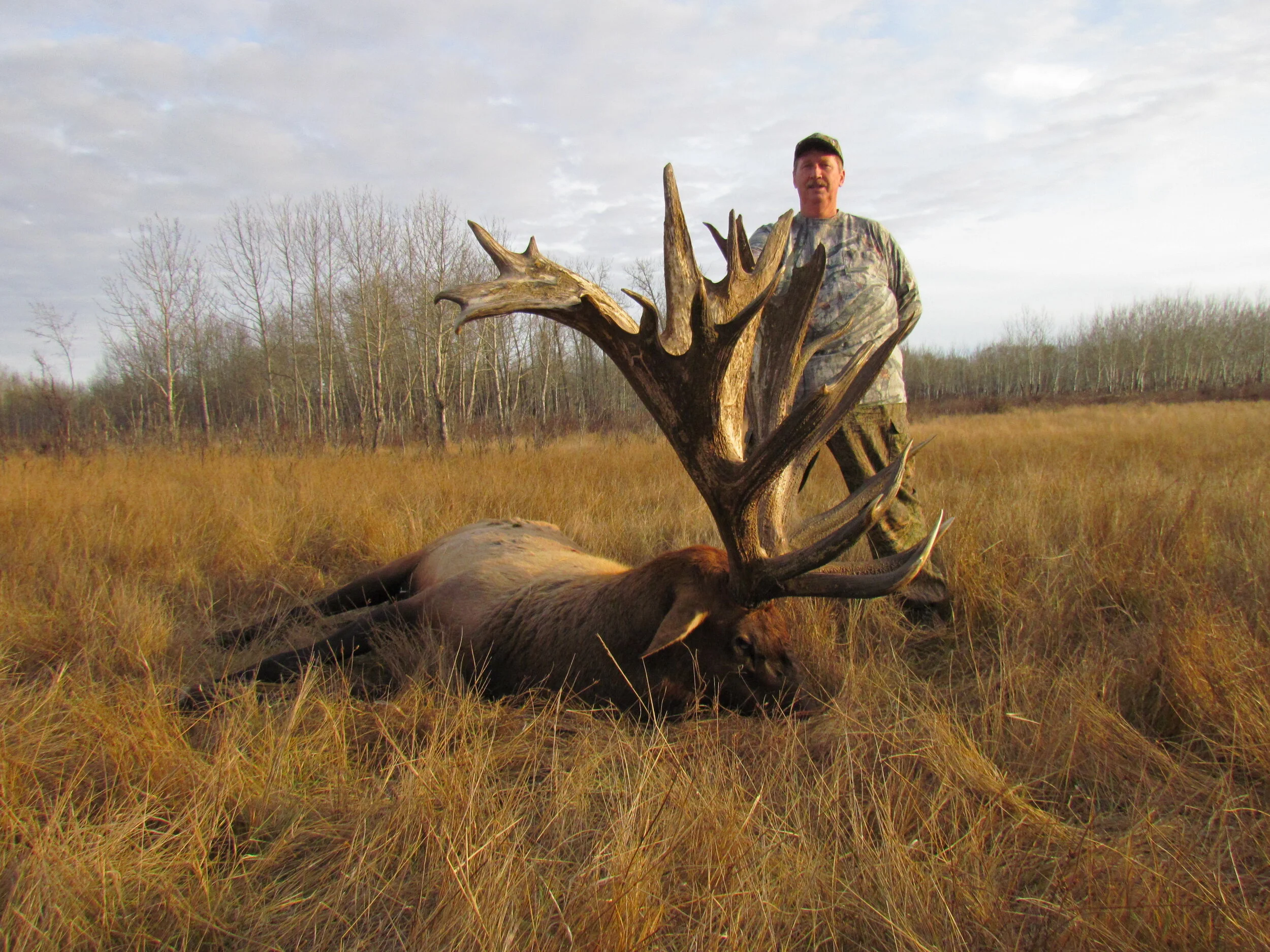 COLORADO TROPHY ELK HUNTS AT BULL BASIN RANCH COLORADO TROPHY BULL ELK