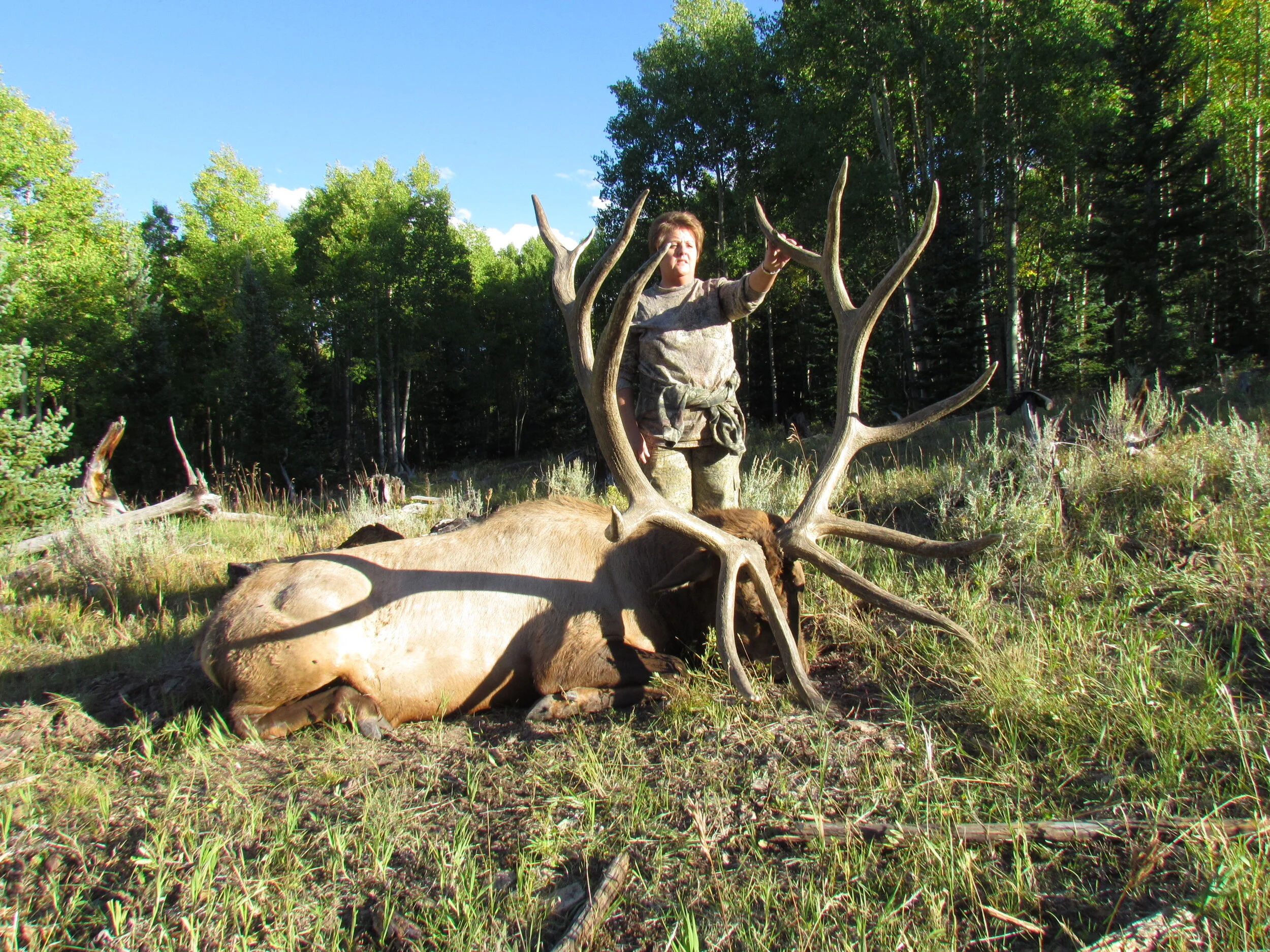 BULL BASIN RANCH COLORADO TROPHY BULL ELK HUNTS