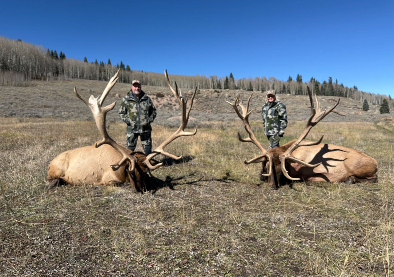 COLORADO TROPHY ELK HUNTS AT BULL BASIN RANCH COLORADO TROPHY BULL ELK ...