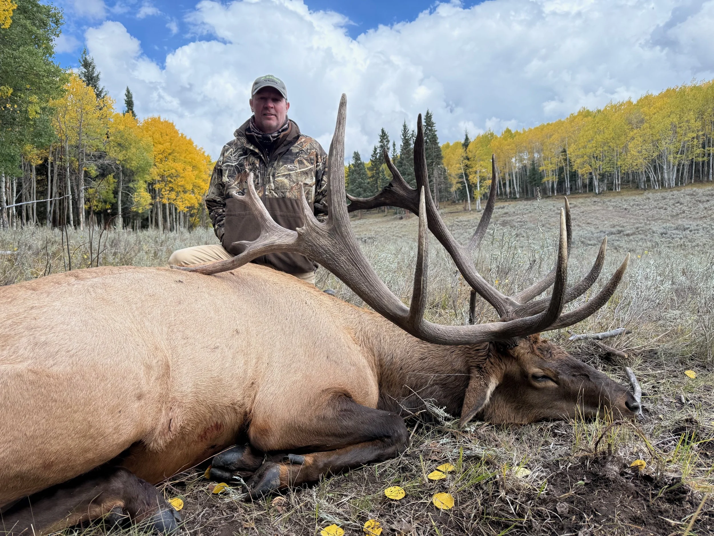 COLORADO TROPHY ELK HUNTS AT BULL BASIN RANCH COLORADO TROPHY BULL ELK ...