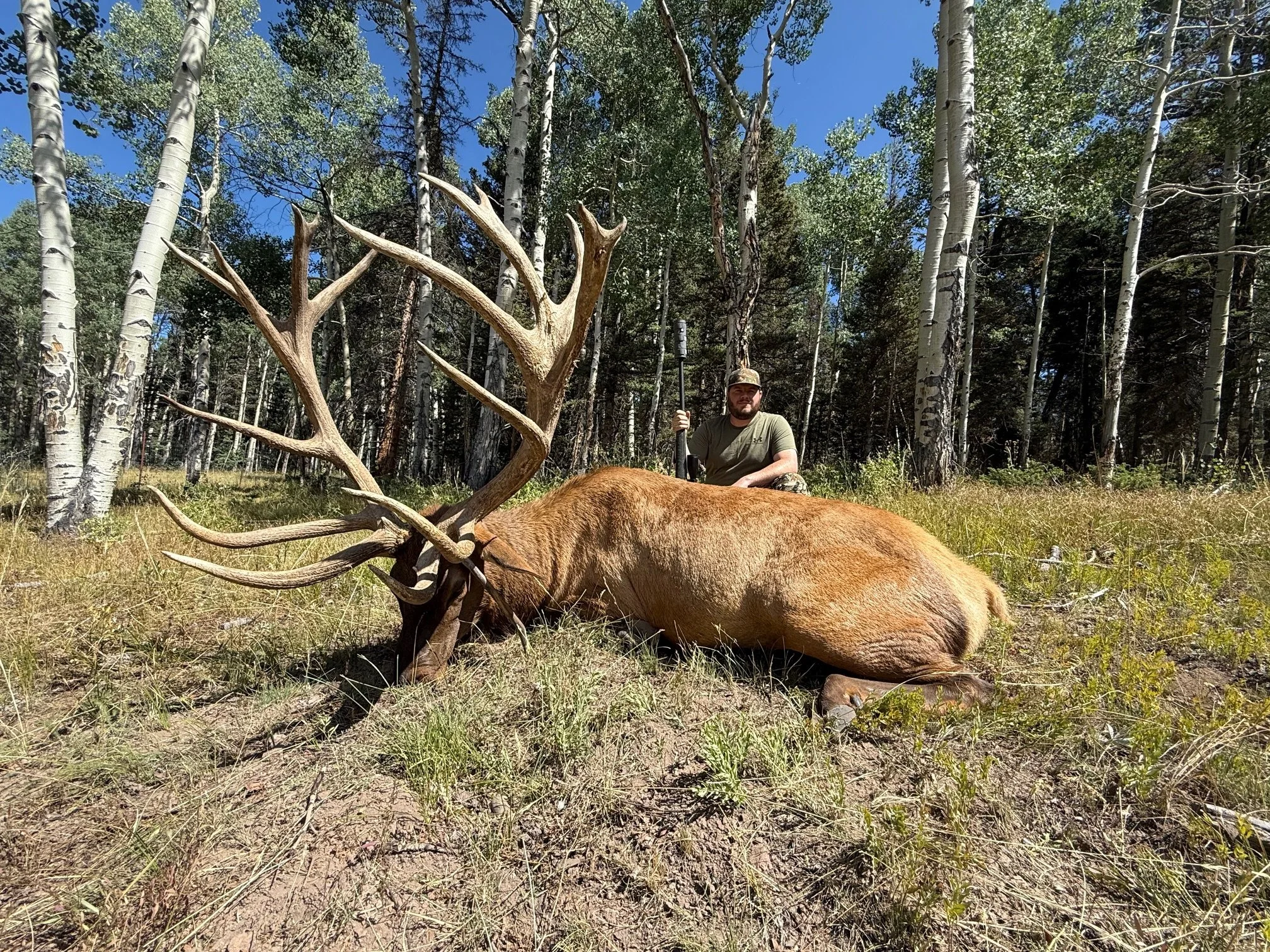COLORADO TROPHY ELK HUNTS AT BULL BASIN RANCH COLORADO TROPHY BULL ELK ...