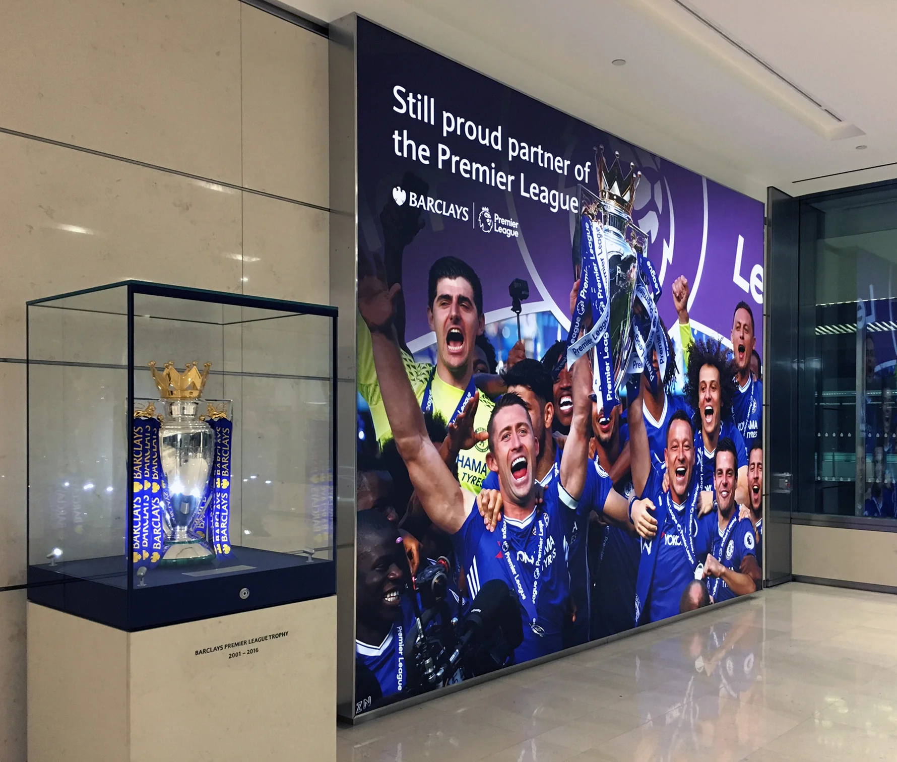 chelsea flex face.jpg