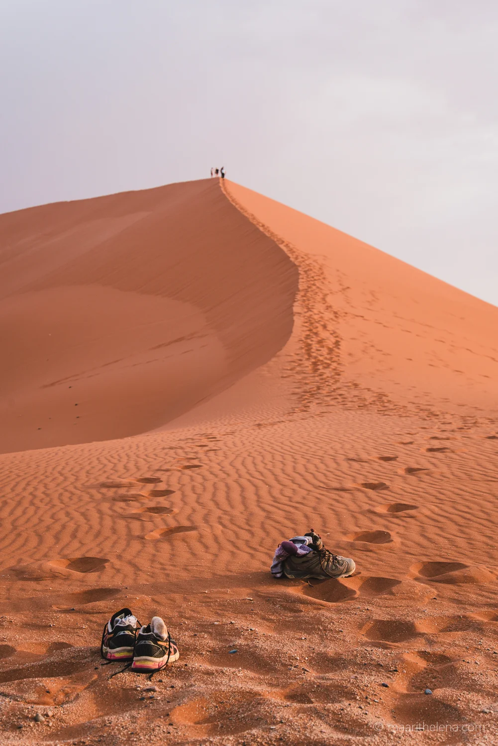 DSC_9574.jpg