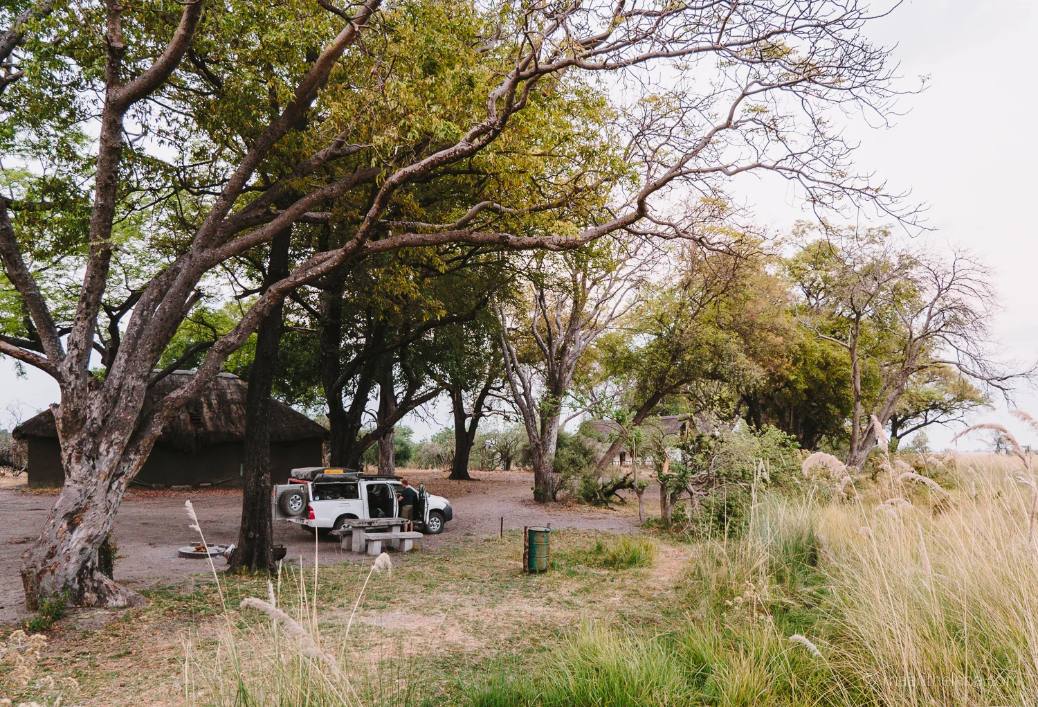 P1000403.jpg