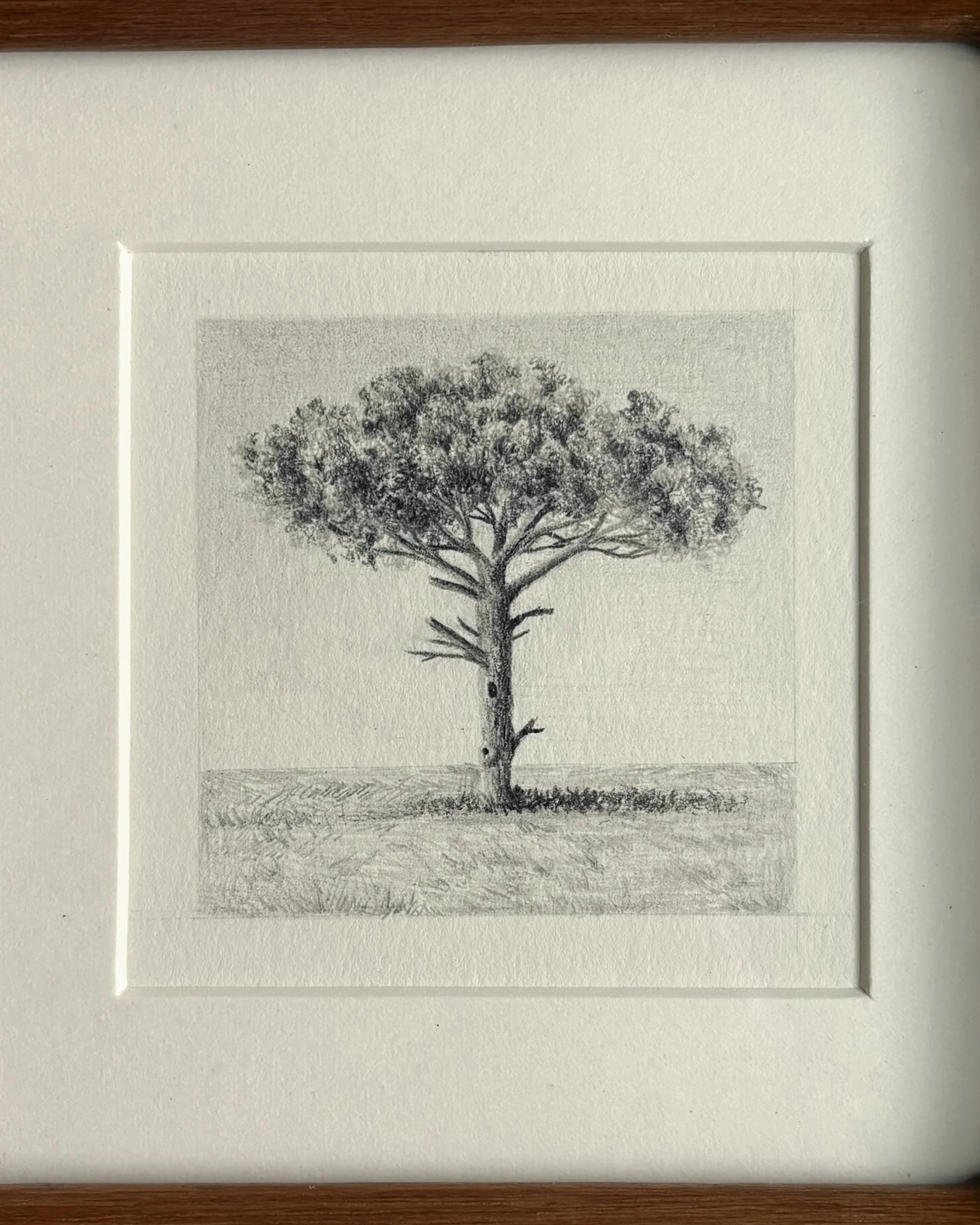 IMG_2131 (1)copy.jpg