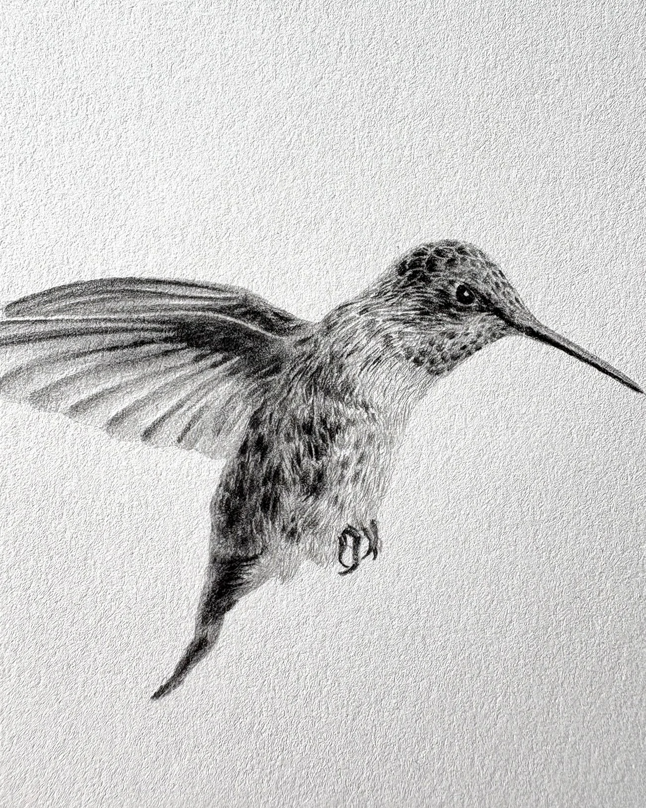 Photo Oct 09 2026, 11 29 19 AM copy.jpg