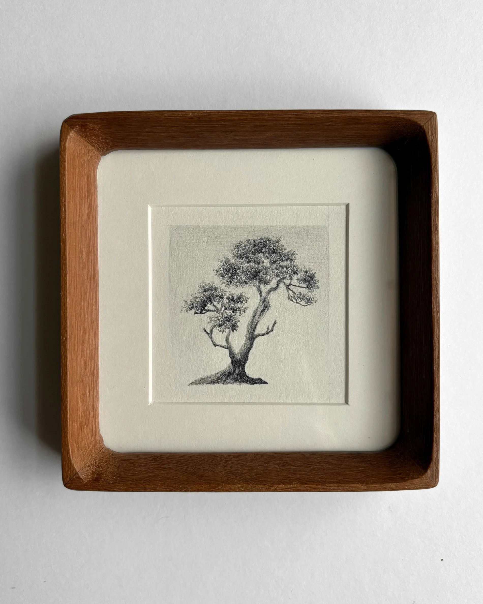 IMG_2171(1) copy.jpg