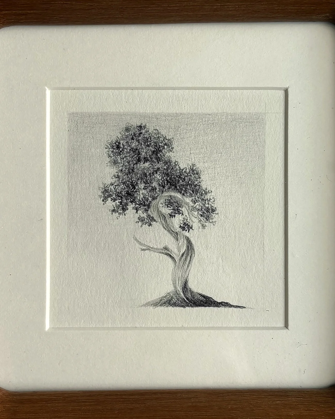 IMG_2202 (1) copy 2.jpg