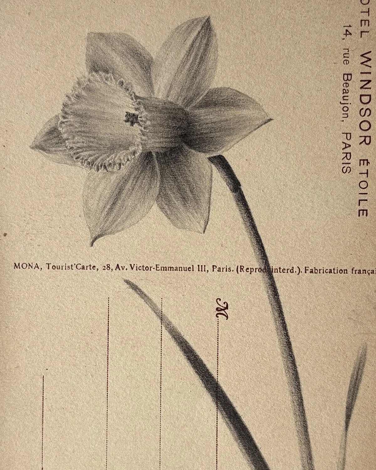 IMG_2060 copy 2 crop.jpg