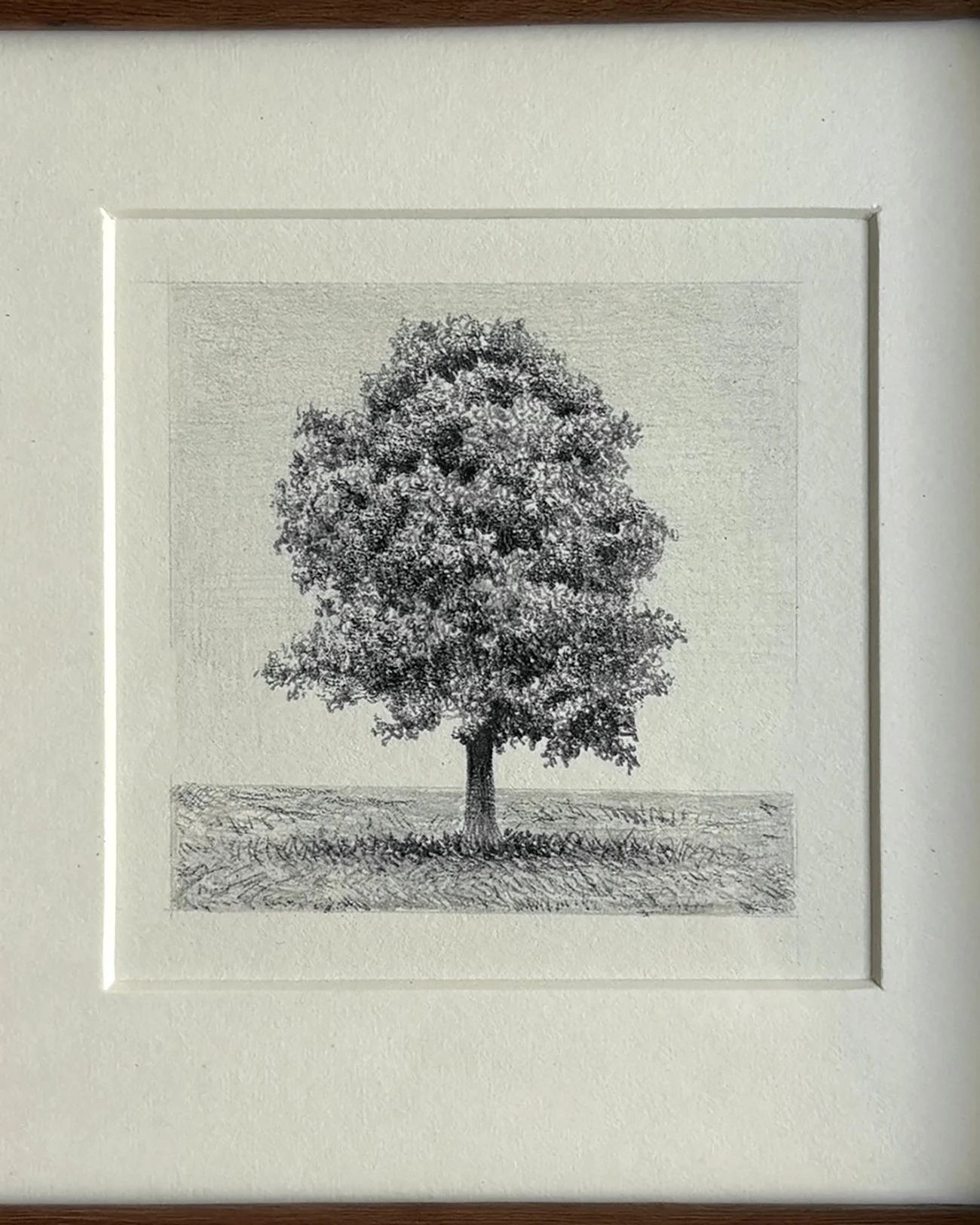 IMG_2146 (1)copy.jpg