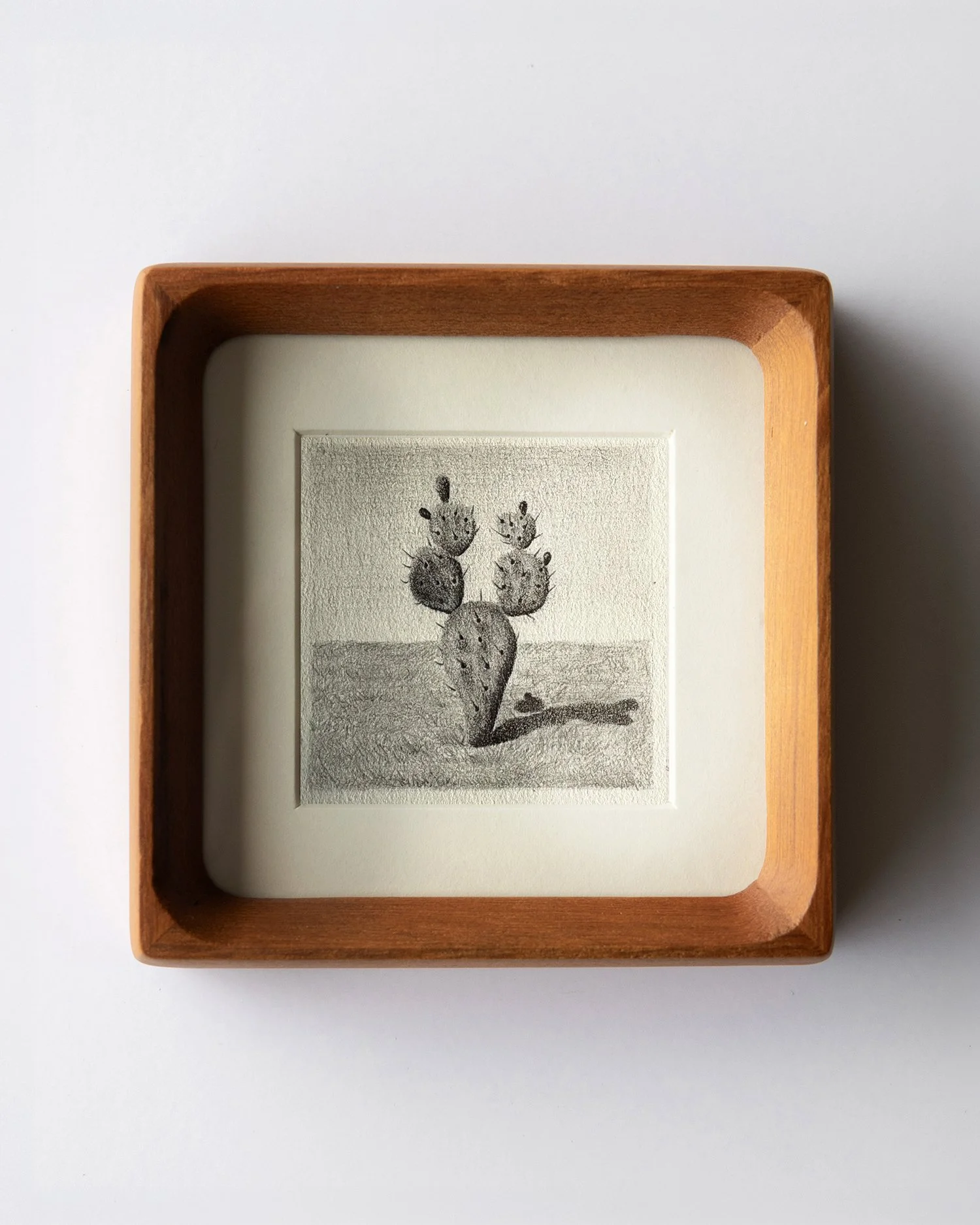 037A6441 copy5 copy.jpg