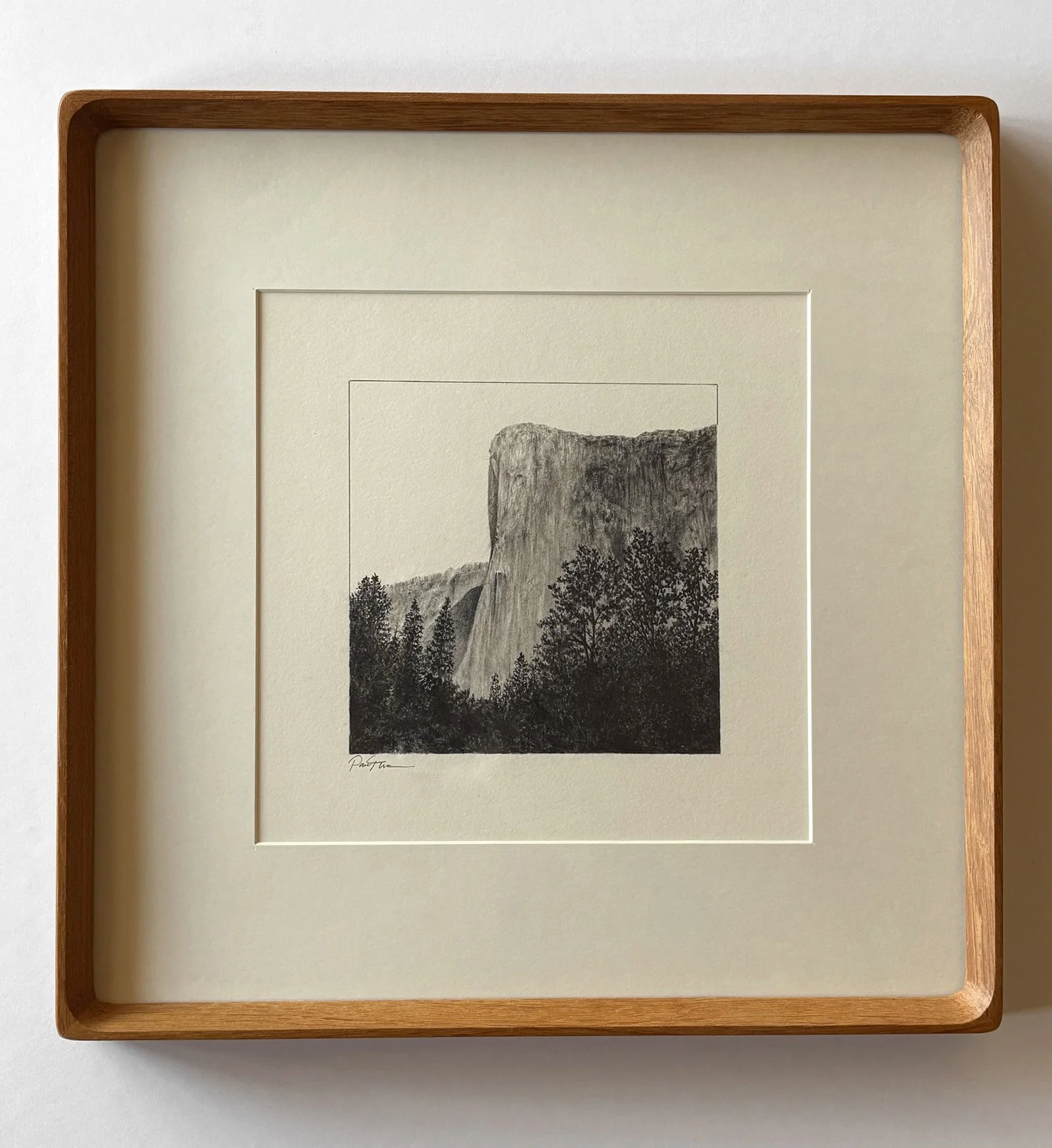 IMG_0508 (1) copy 2.jpg