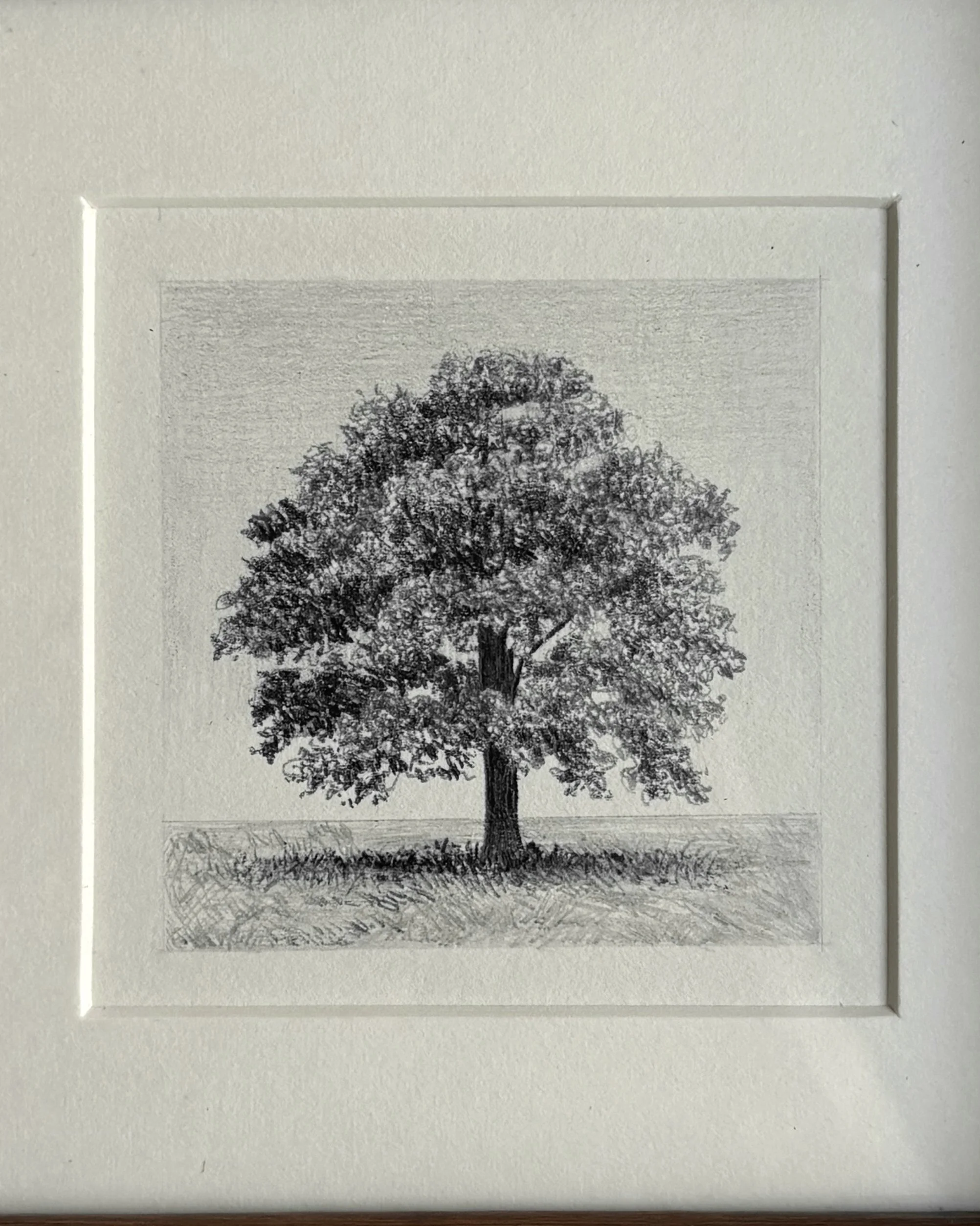 IMG_2175(1) copy.jpg