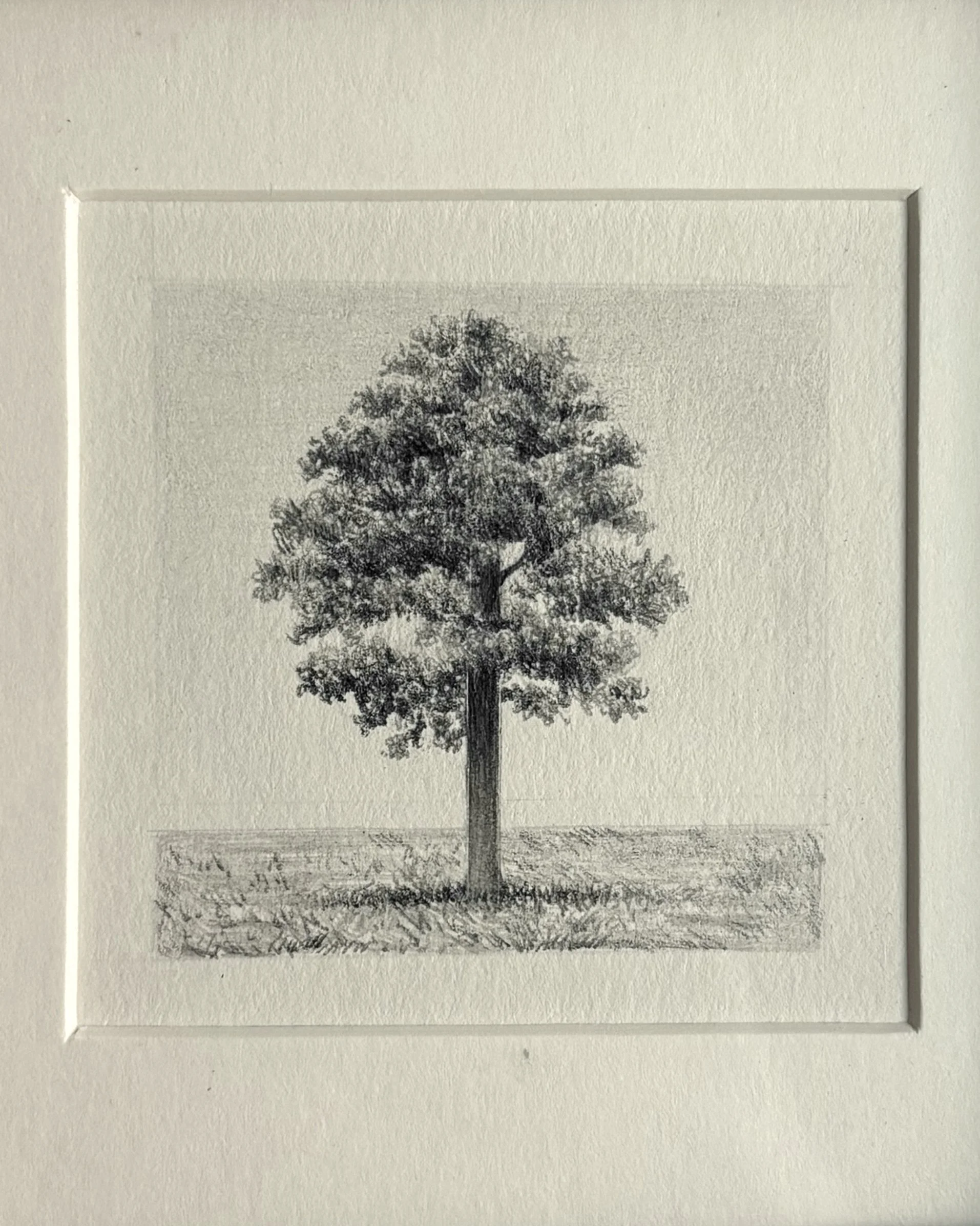 IMG_2165(1) copy.jpg