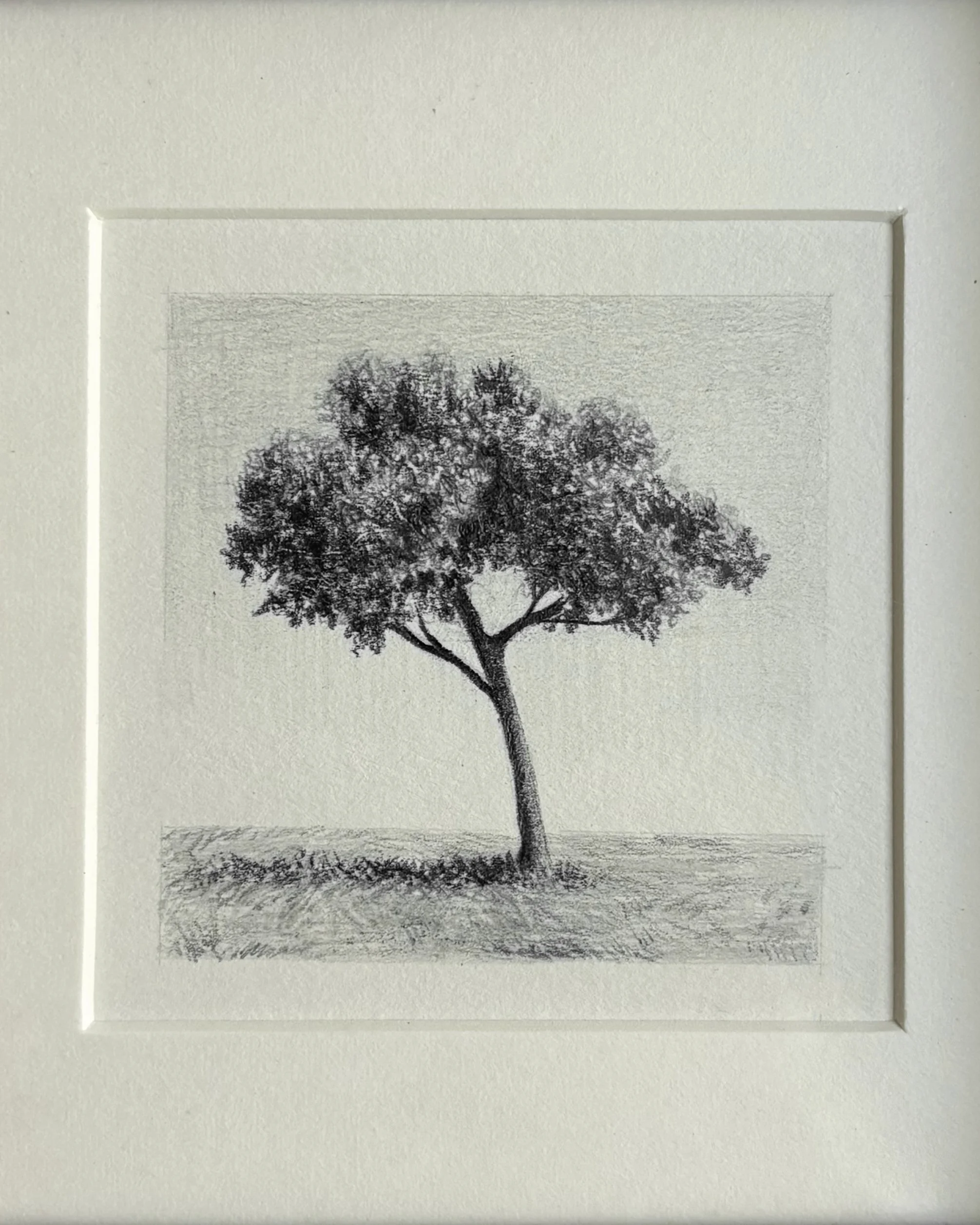 IMG_2141(1) copy.jpg