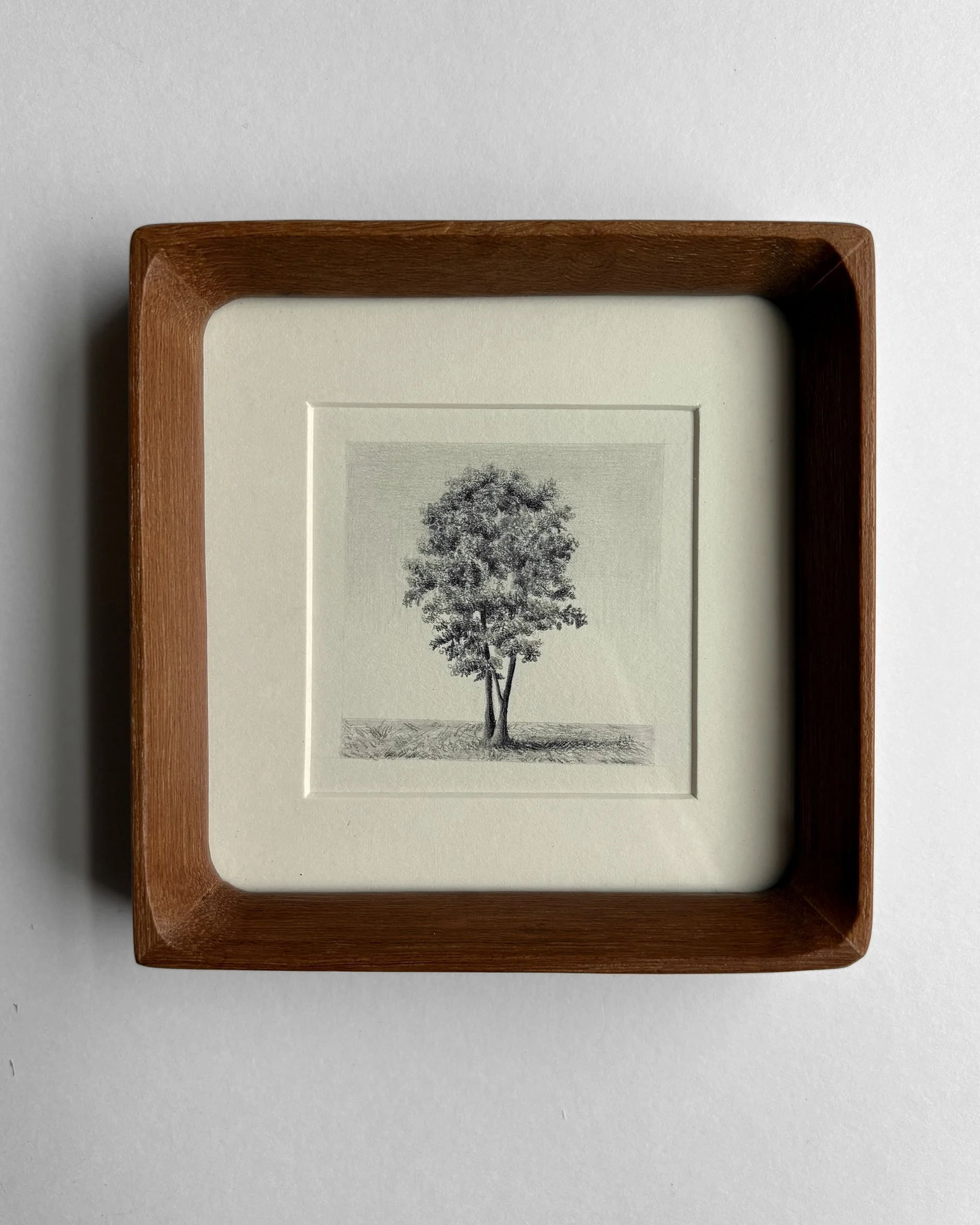 IMG_2151 (1) copy.jpg