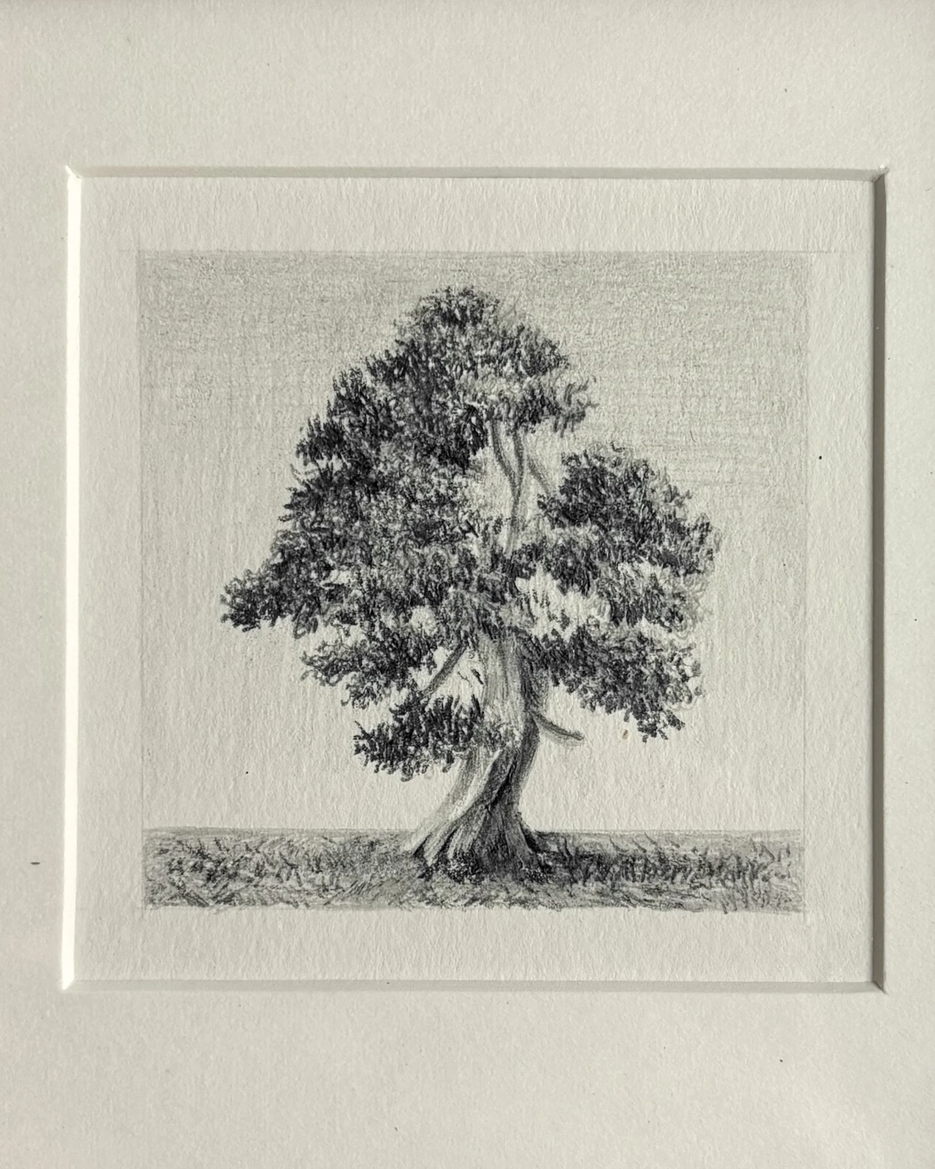 IMG_2138 (1)copy.jpg