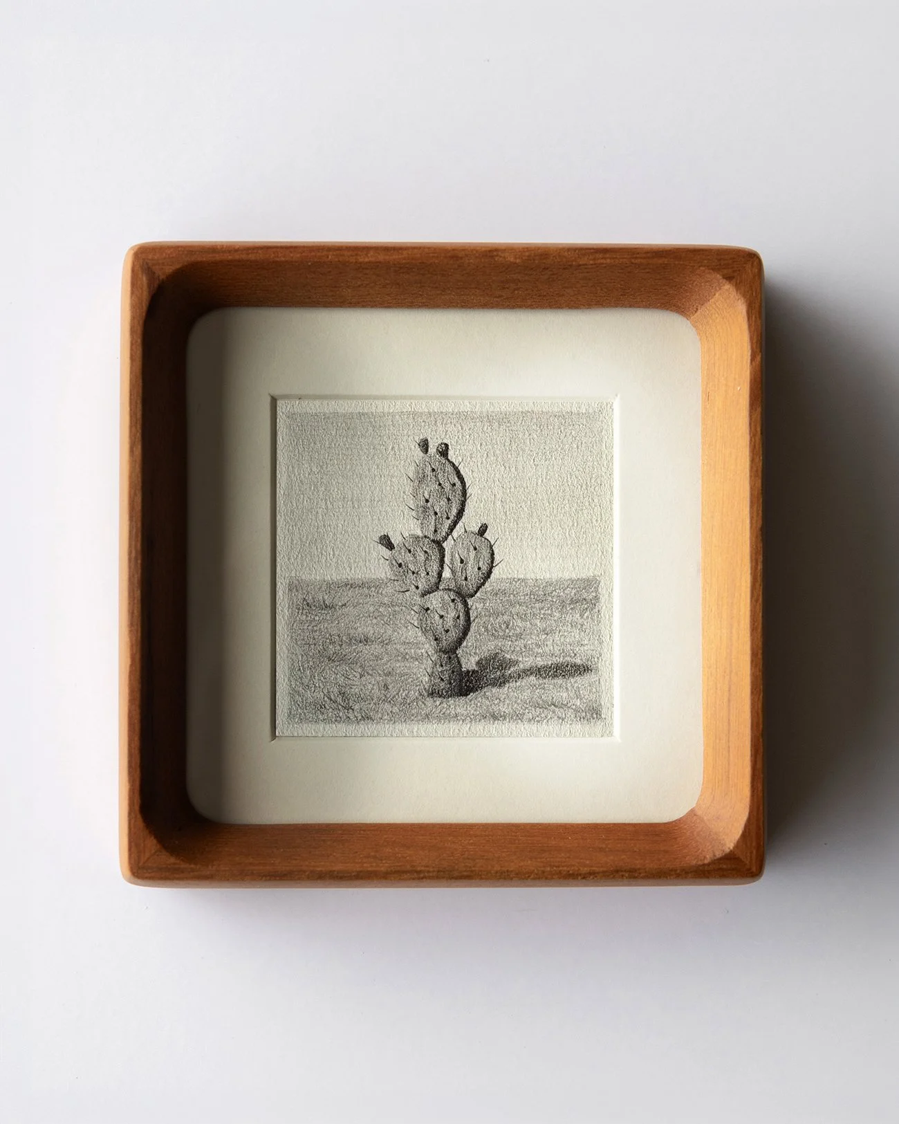 037A6441 copy98 copy.jpg