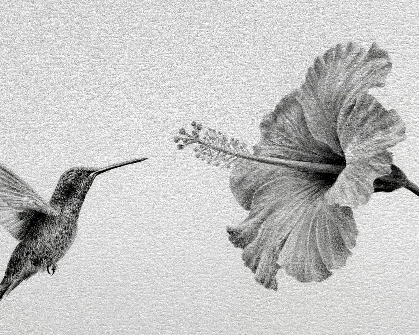 detail copy.jpg