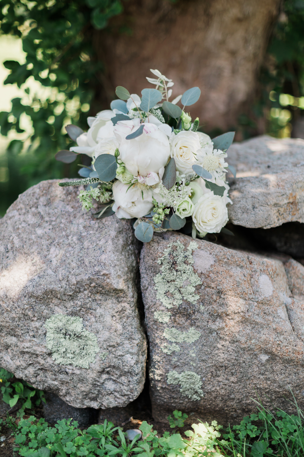 Martha's Vineyard Wedding Photography