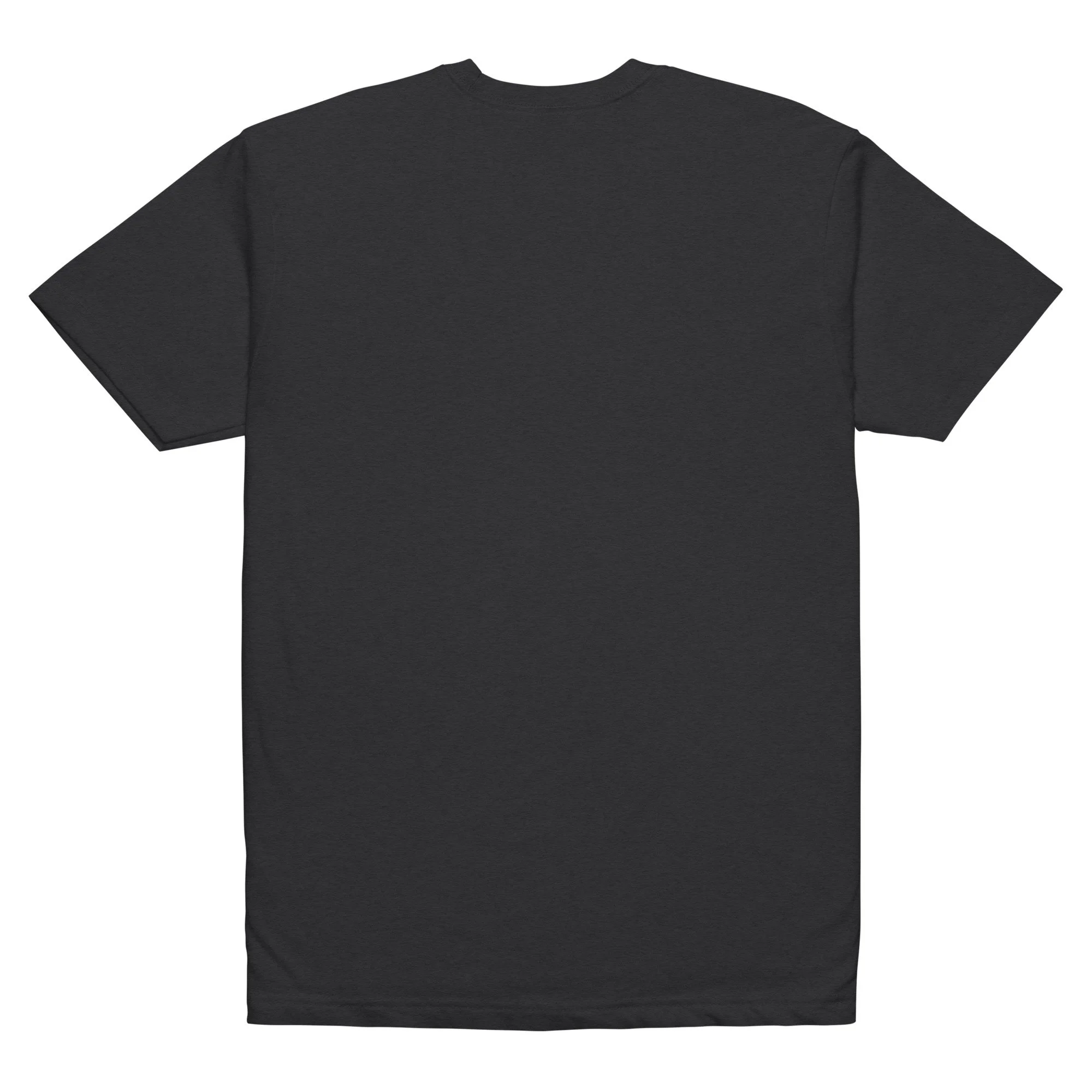 unisex-cvc-t-shirt-black-back-6a2606f013a09.jpg