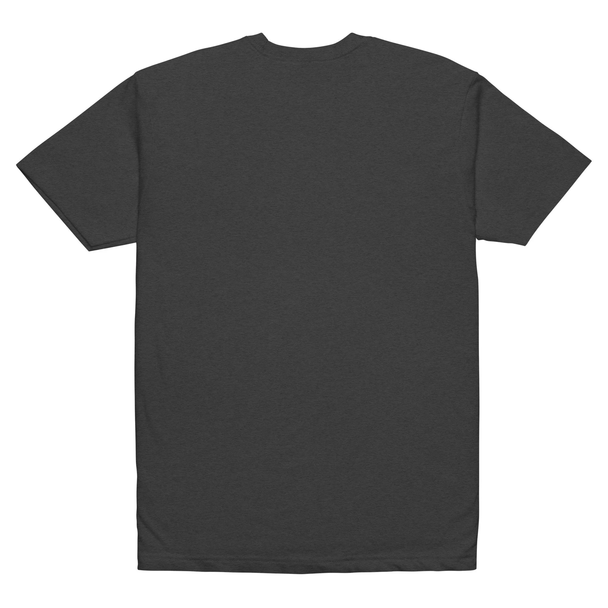 unisex-cvc-t-shirt-charcoal-back-6a2606f013ab0.jpg