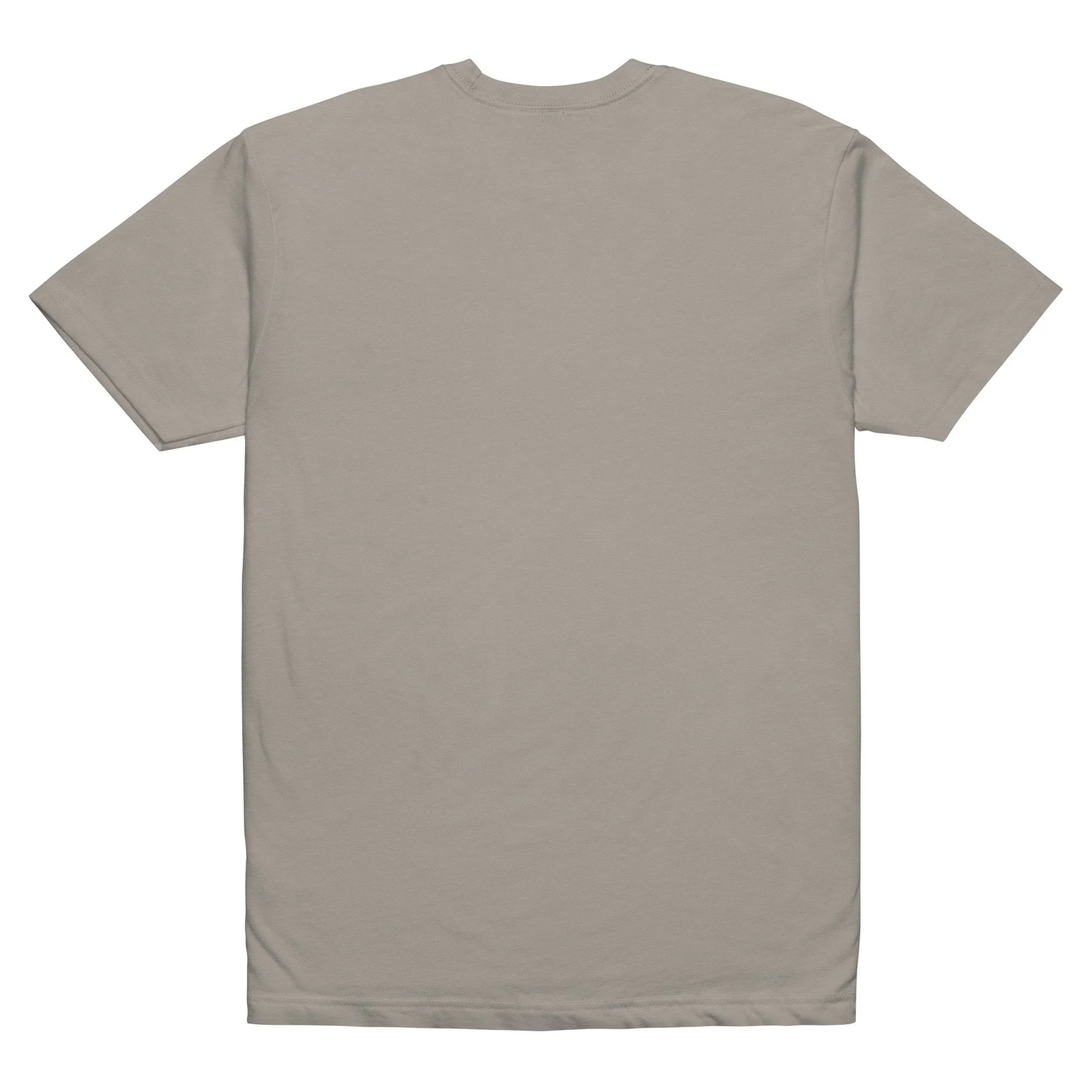 unisex-cvc-t-shirt-stone-grey-back-6a2606f013e7f.jpg