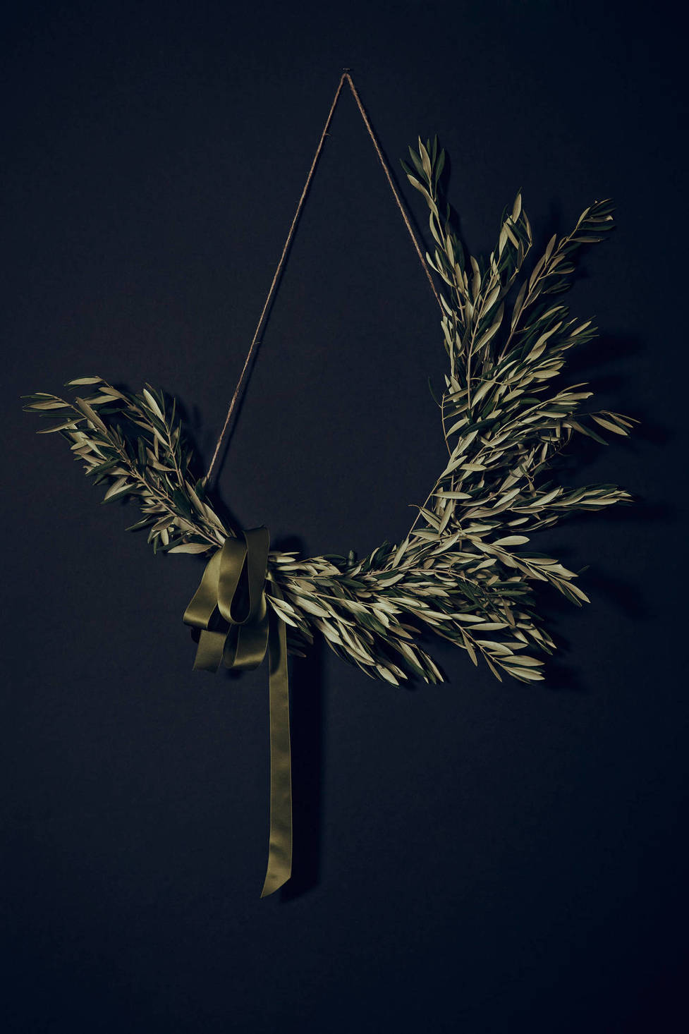 Olive leaves