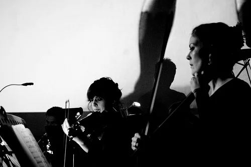 Photo by Ashley Mitchell