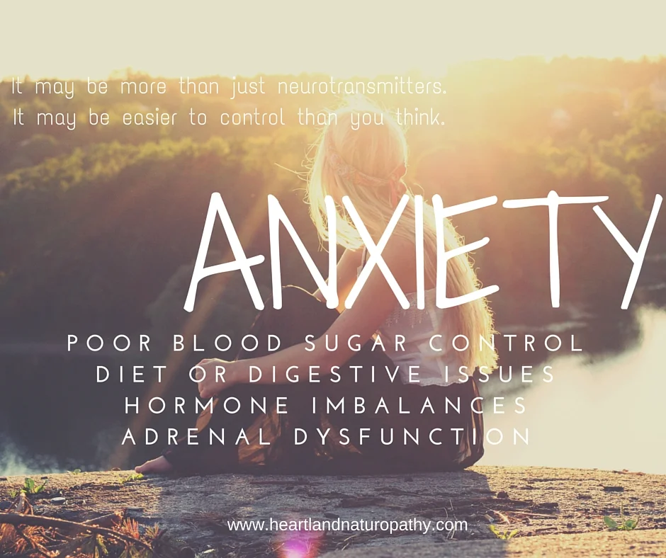 Anxiety - more than neurotransmitters?