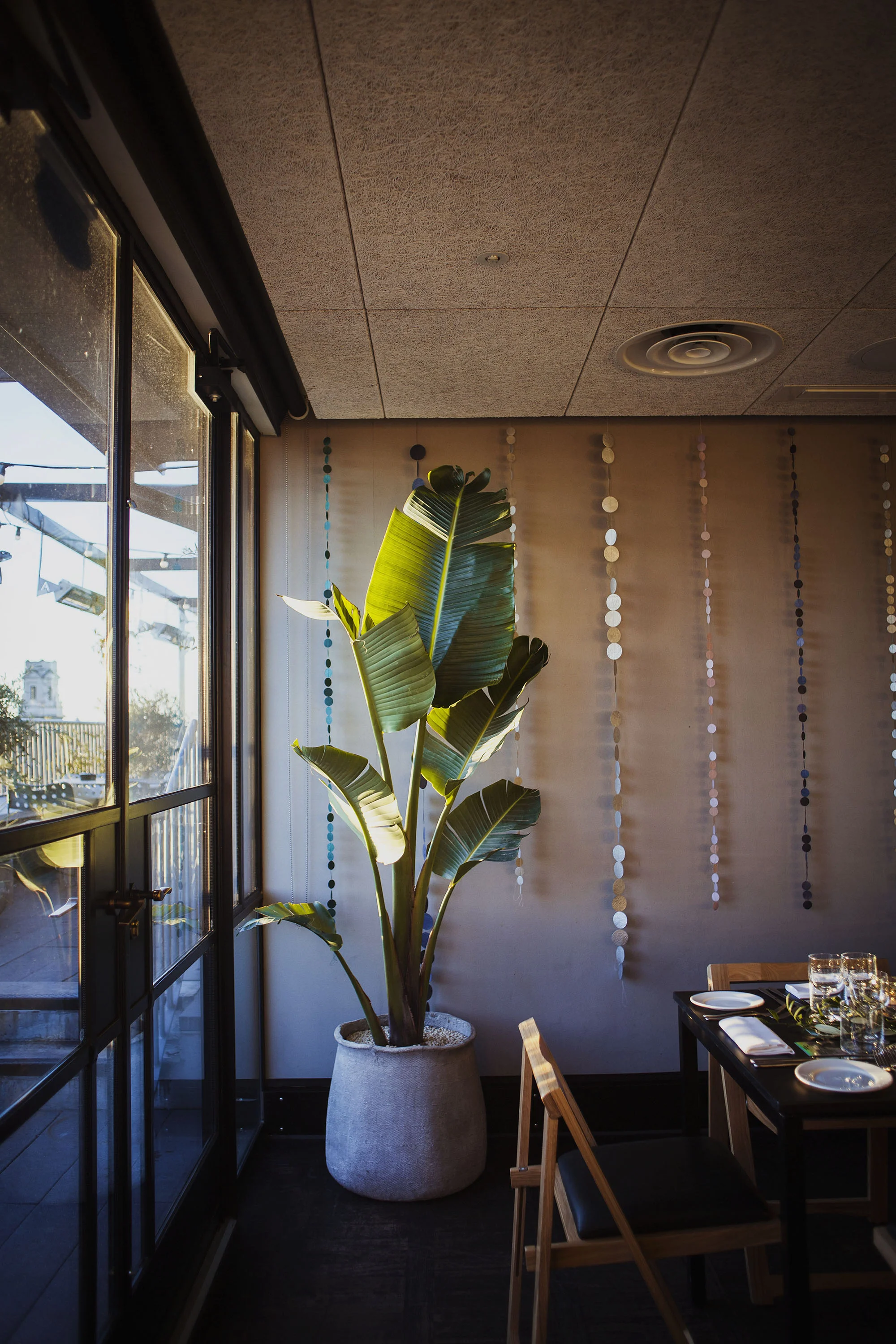 giant potted plant at the ace hotel london