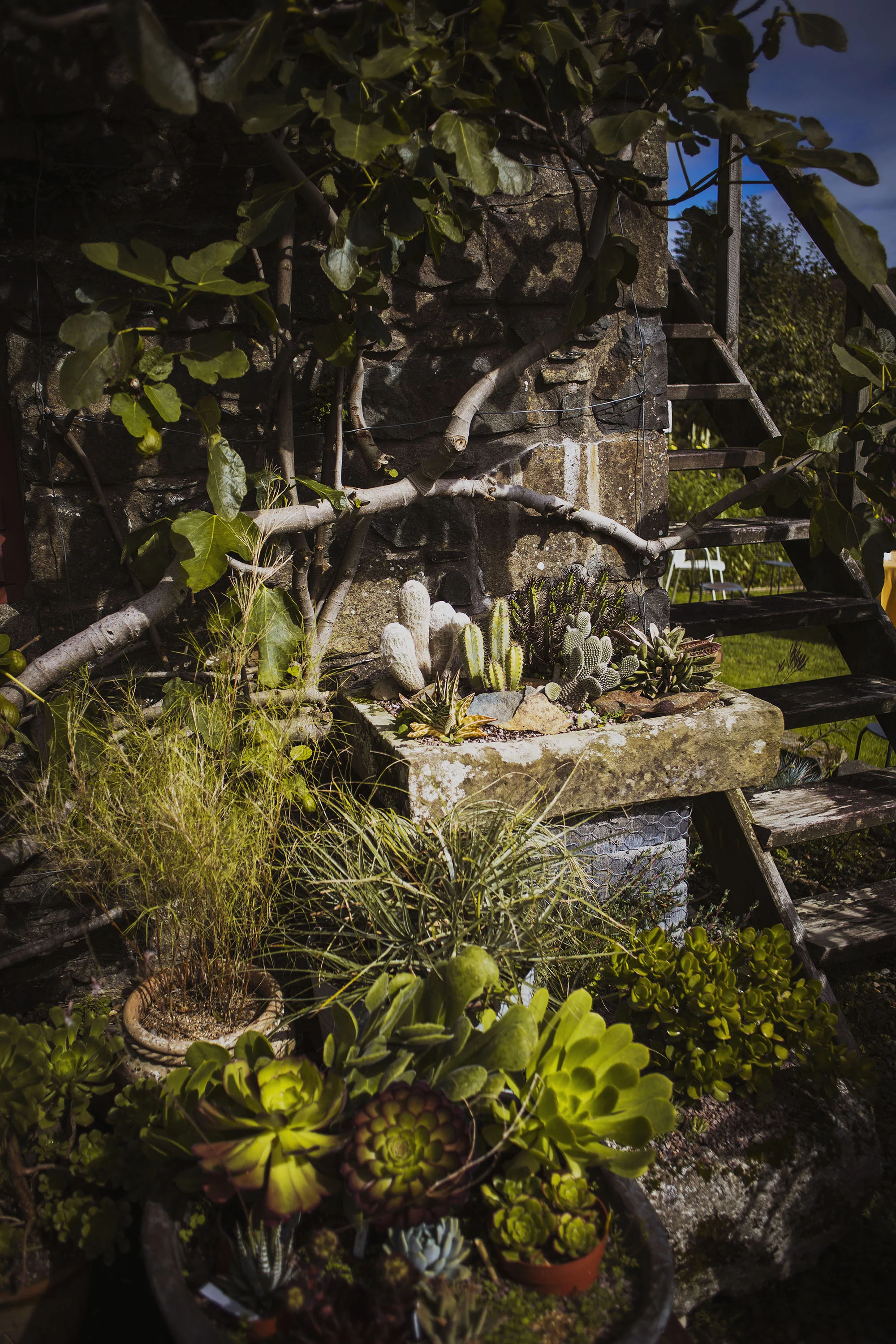dyffryn fernant gardens in pembrokeshire