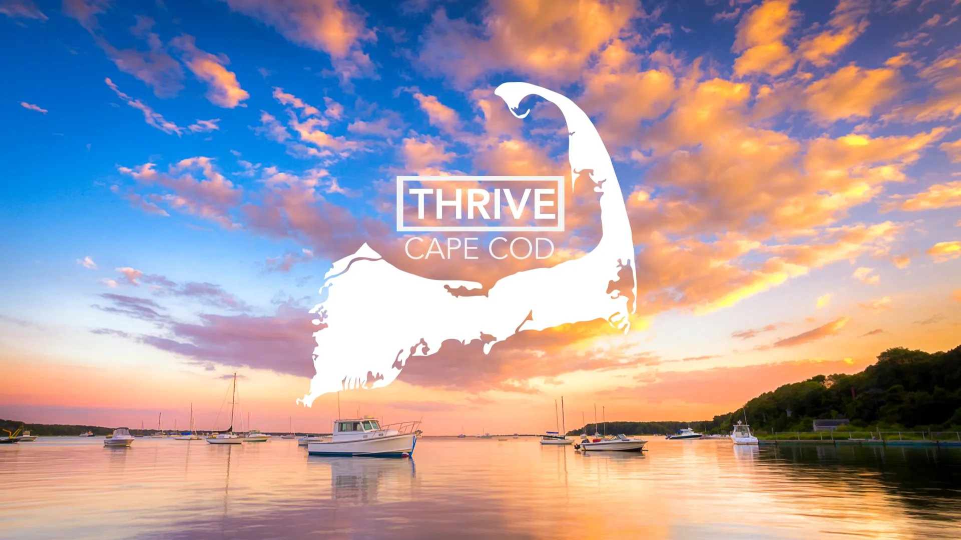 2019 thrive website graphic original.jpg