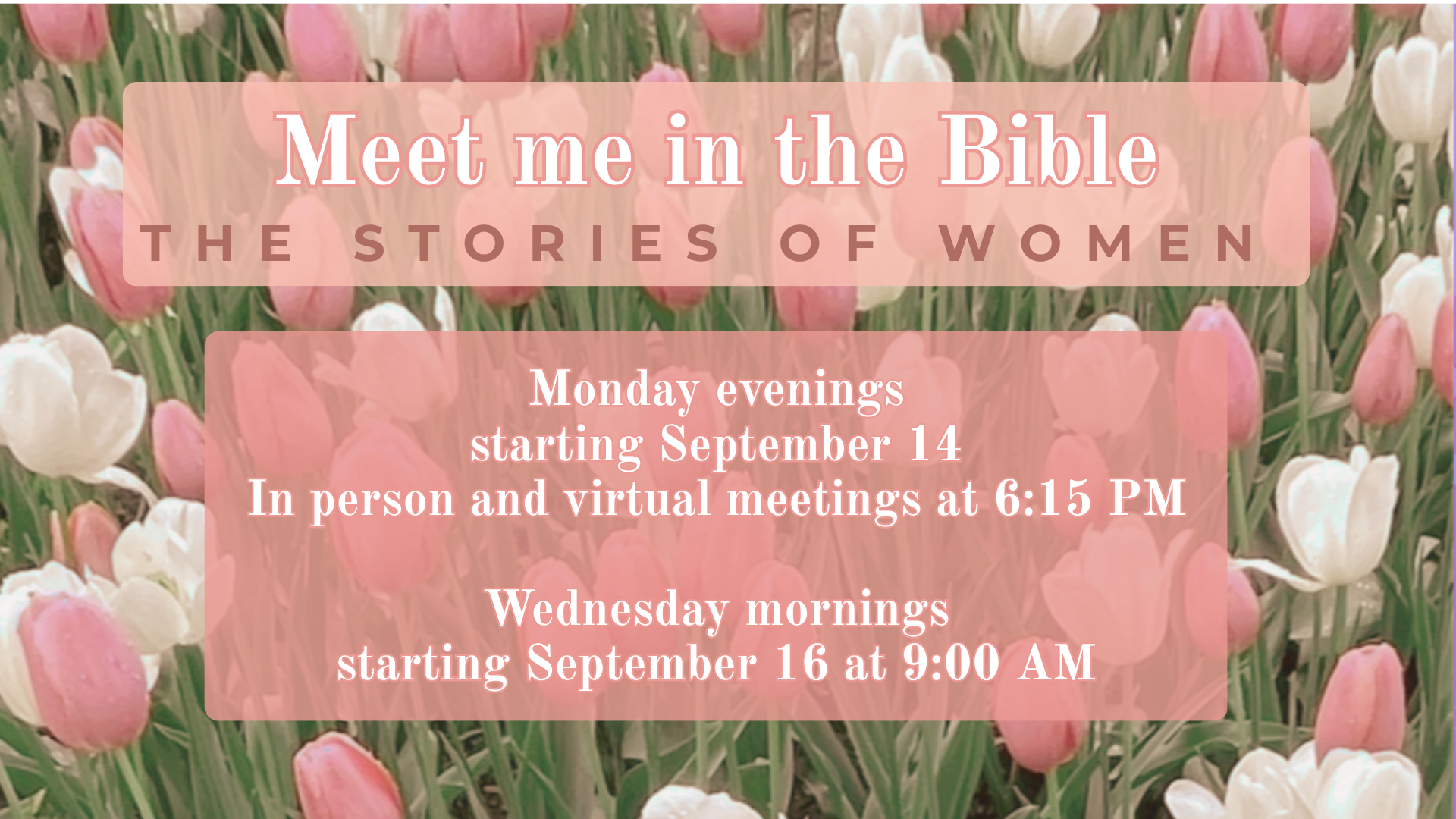 Women's Bible Study 26-27.png