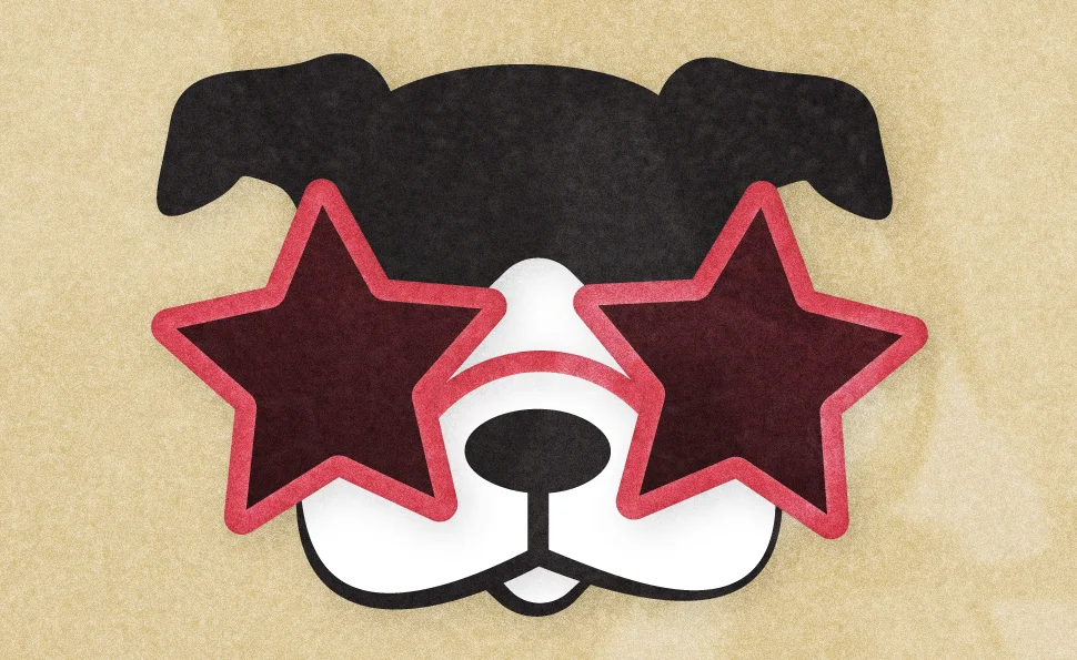 heyjoyhey-lookingforlassie