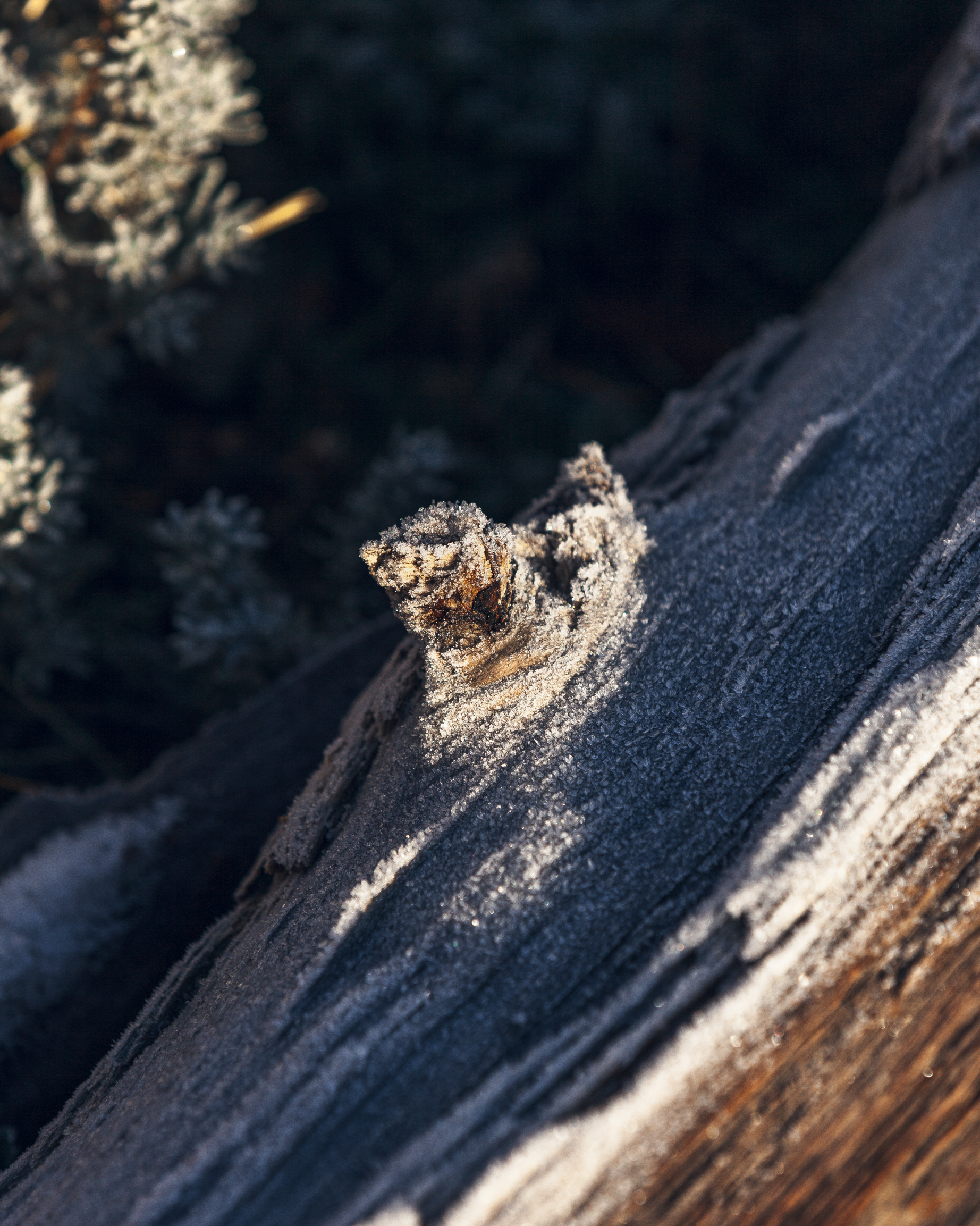 Screen Shot 2023-07-19 at 5.41.20 PM.png