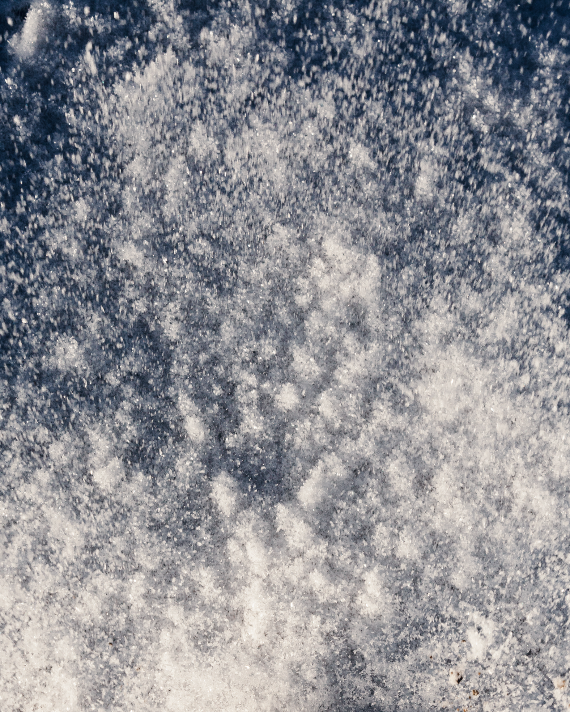 Screen Shot 2023-07-19 at 5.41.53 PM.png