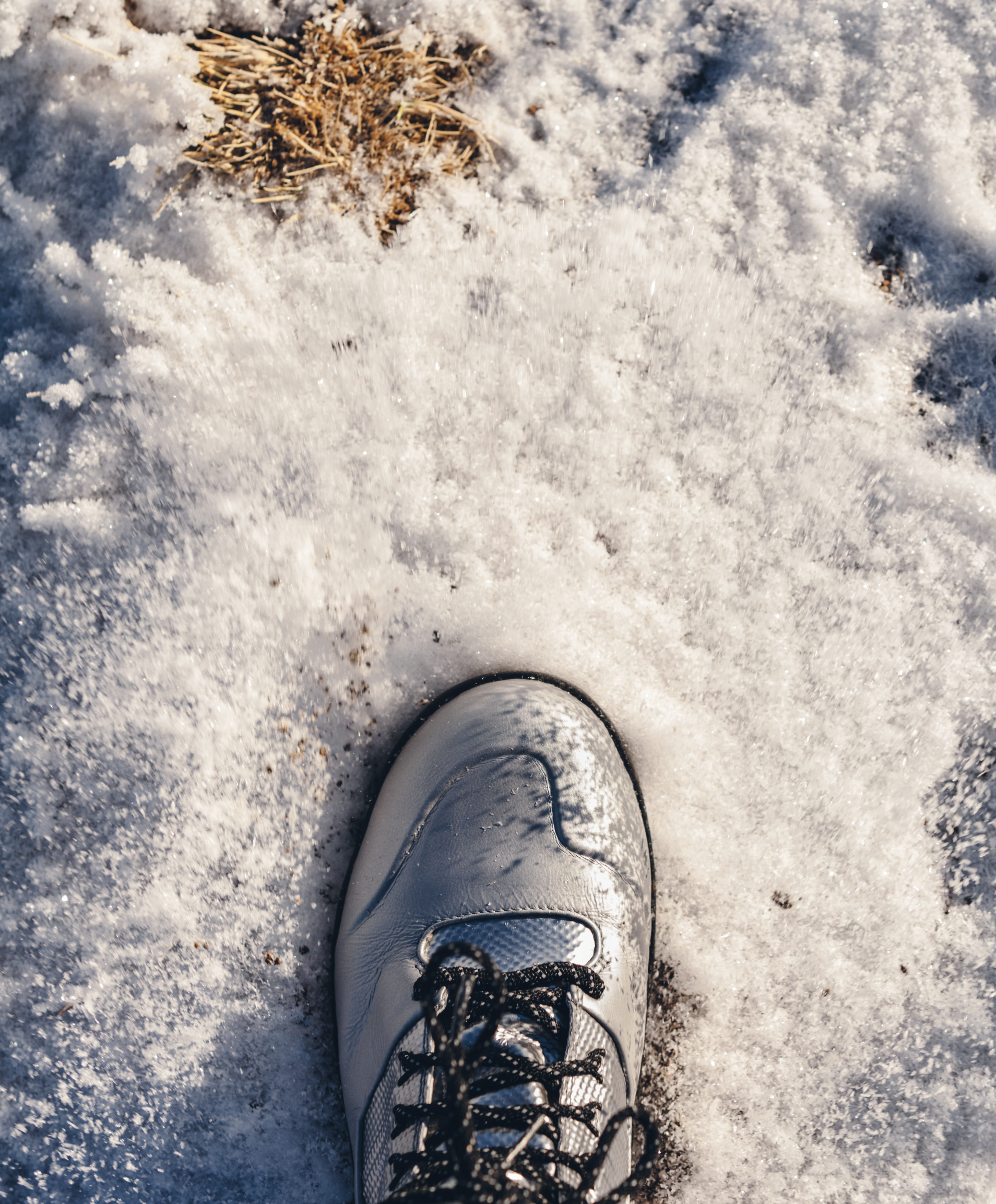 Screen Shot 2023-07-19 at 5.42.05 PM.png