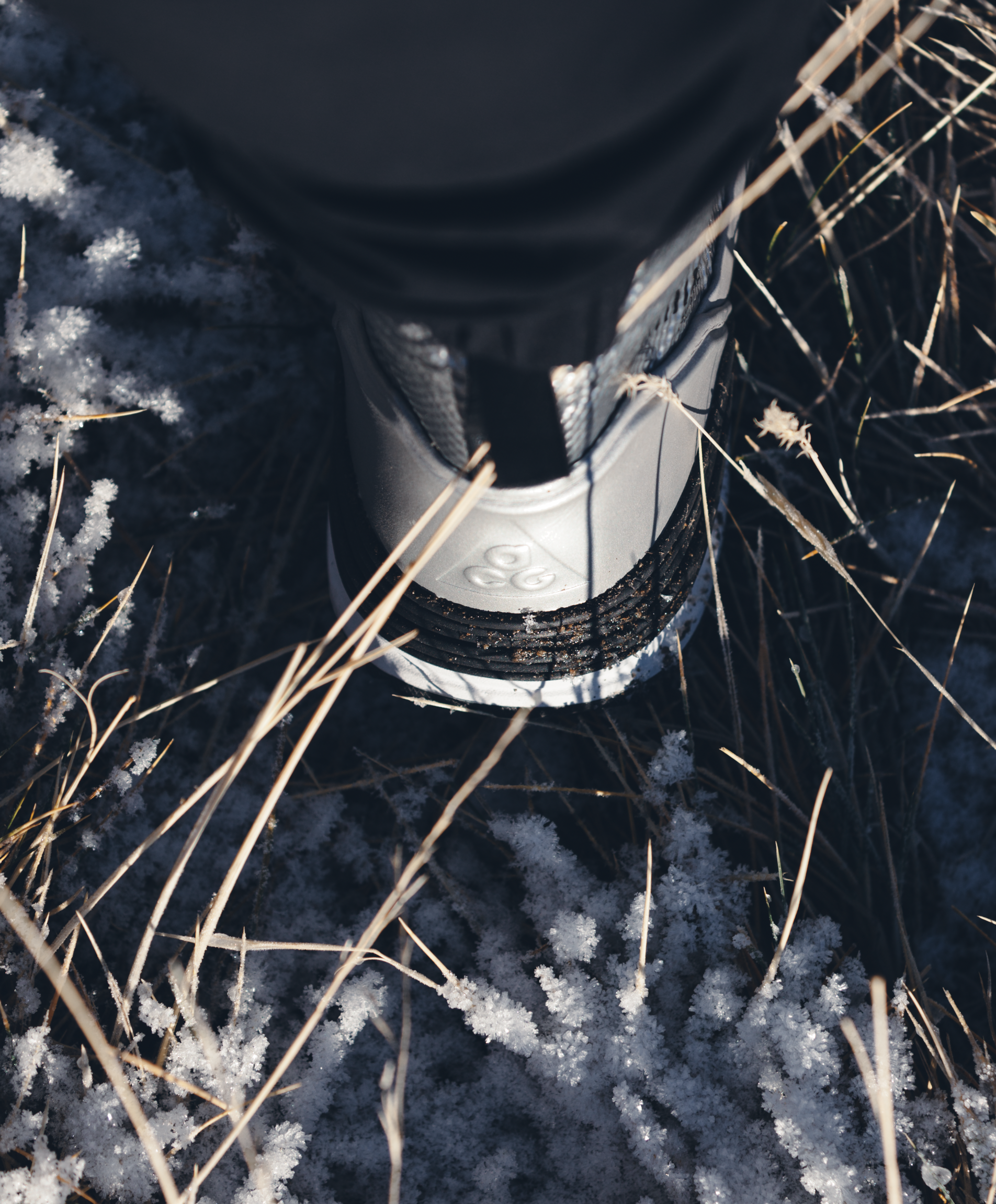 NIKE ACG Lunaterra Arktos