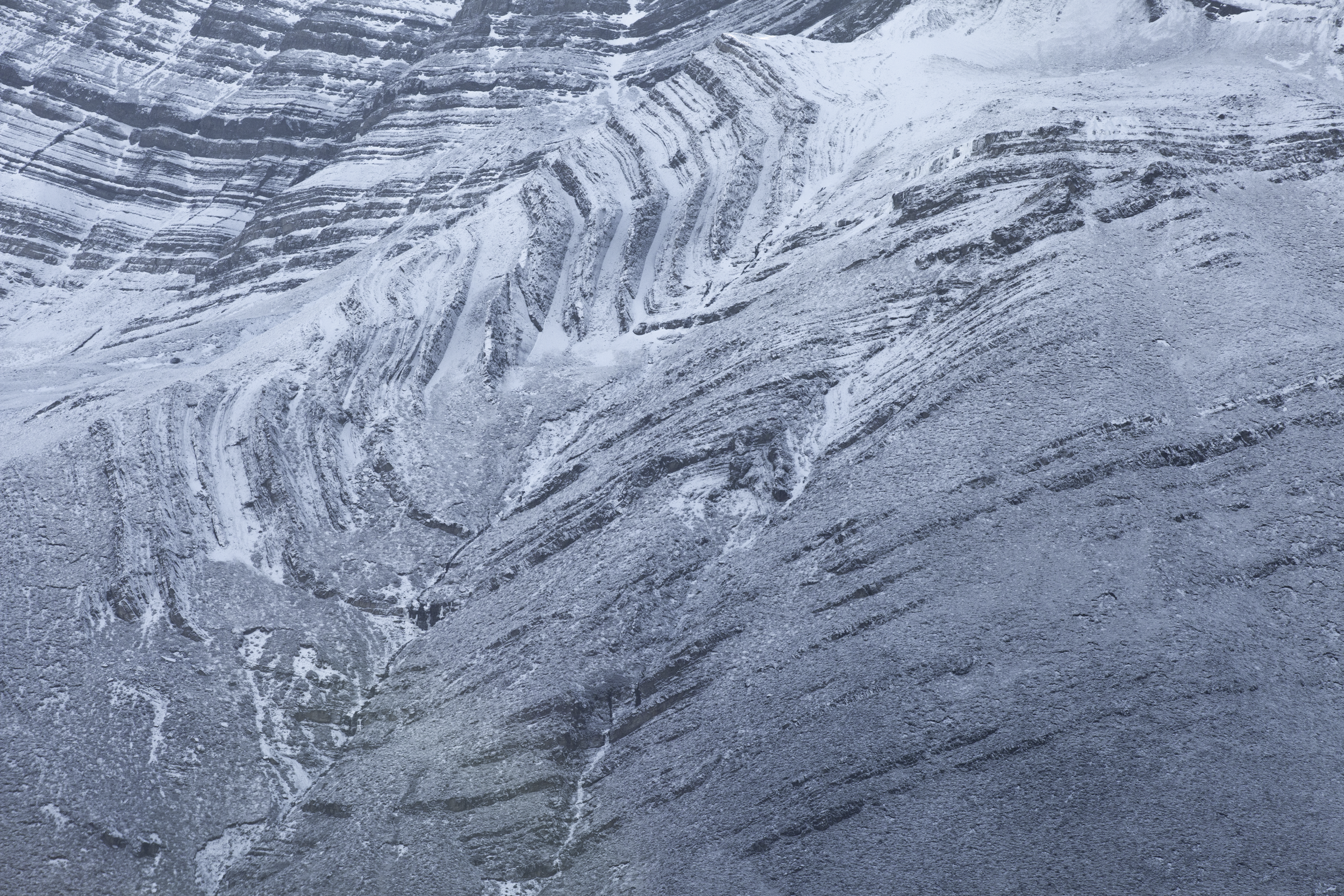 Screen Shot 2023-07-19 at 6.09.39 PM.png