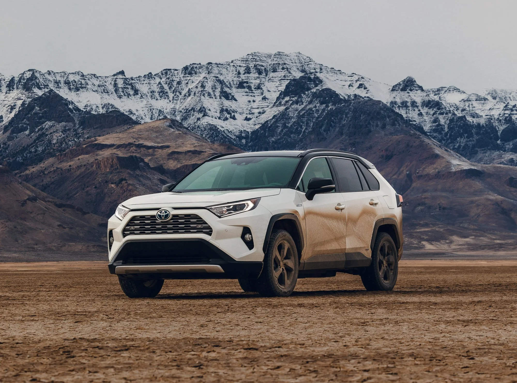 RAV4-2.jpg